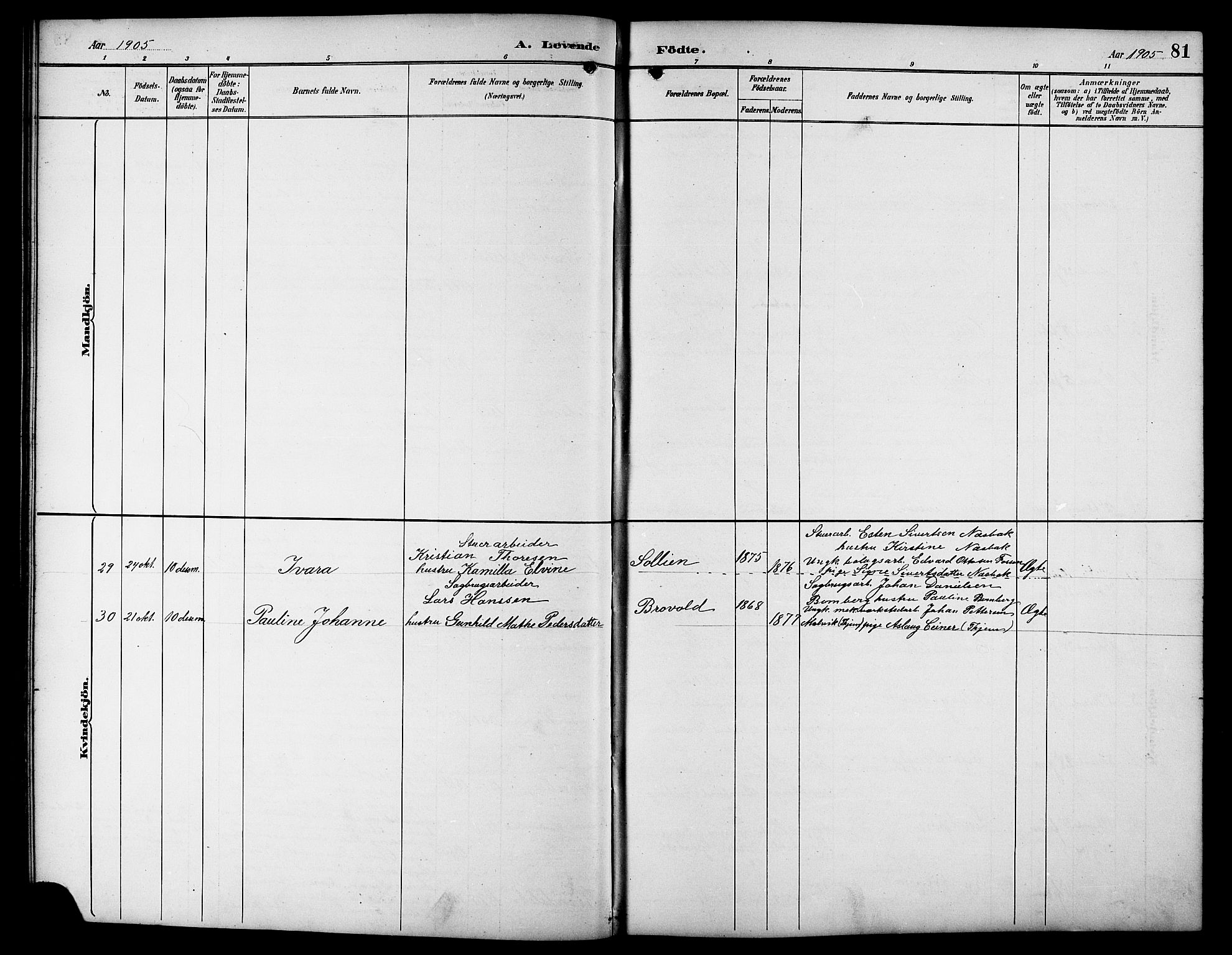 Ministerialprotokoller, klokkerbøker og fødselsregistre - Sør-Trøndelag, SAT/A-1456/617/L0431: Parish register (copy) no. 617C01, 1889-1910, p. 81