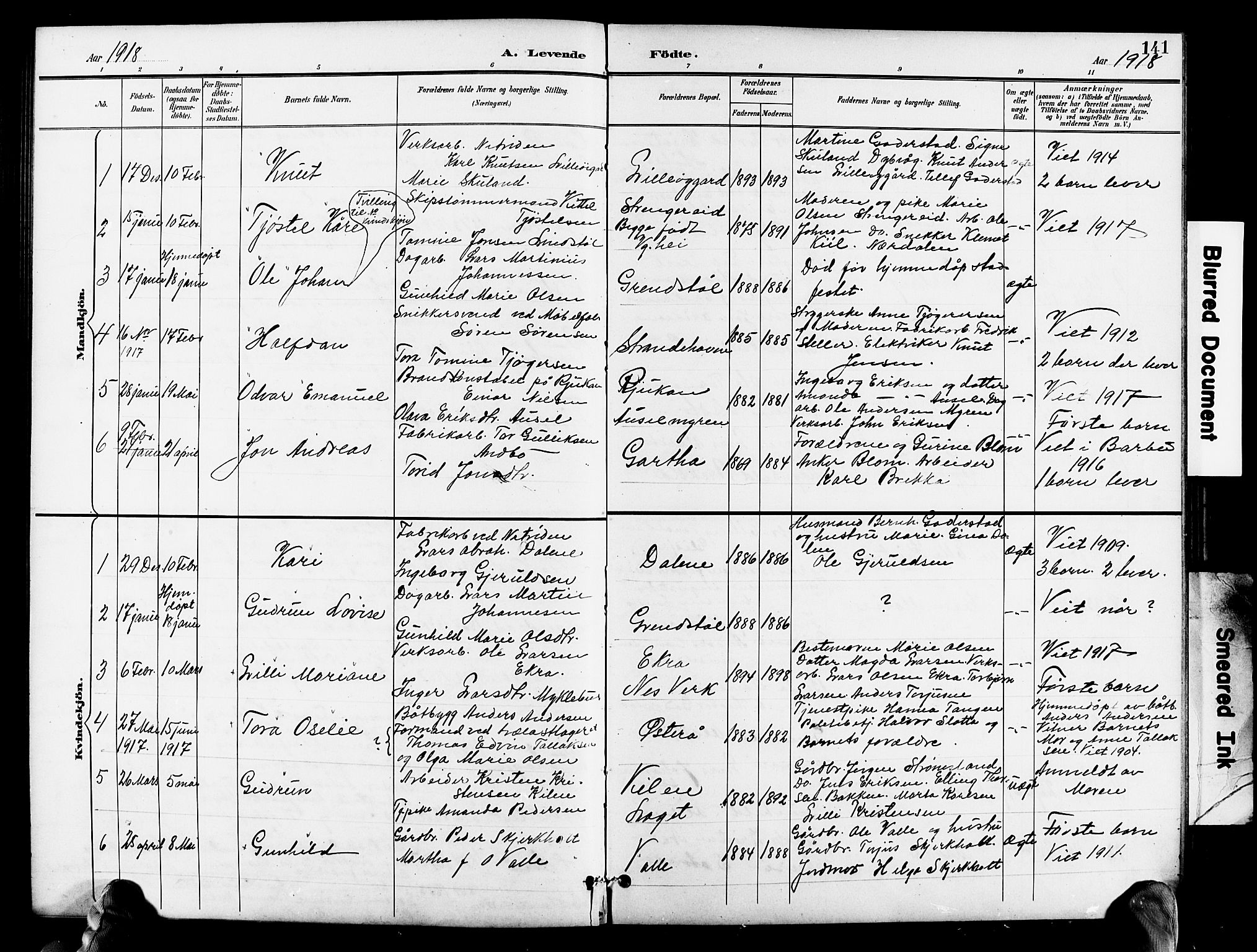 Holt sokneprestkontor, SAK/1111-0021/F/Fb/L0011: Parish register (copy) no. B 11, 1897-1921, p. 141