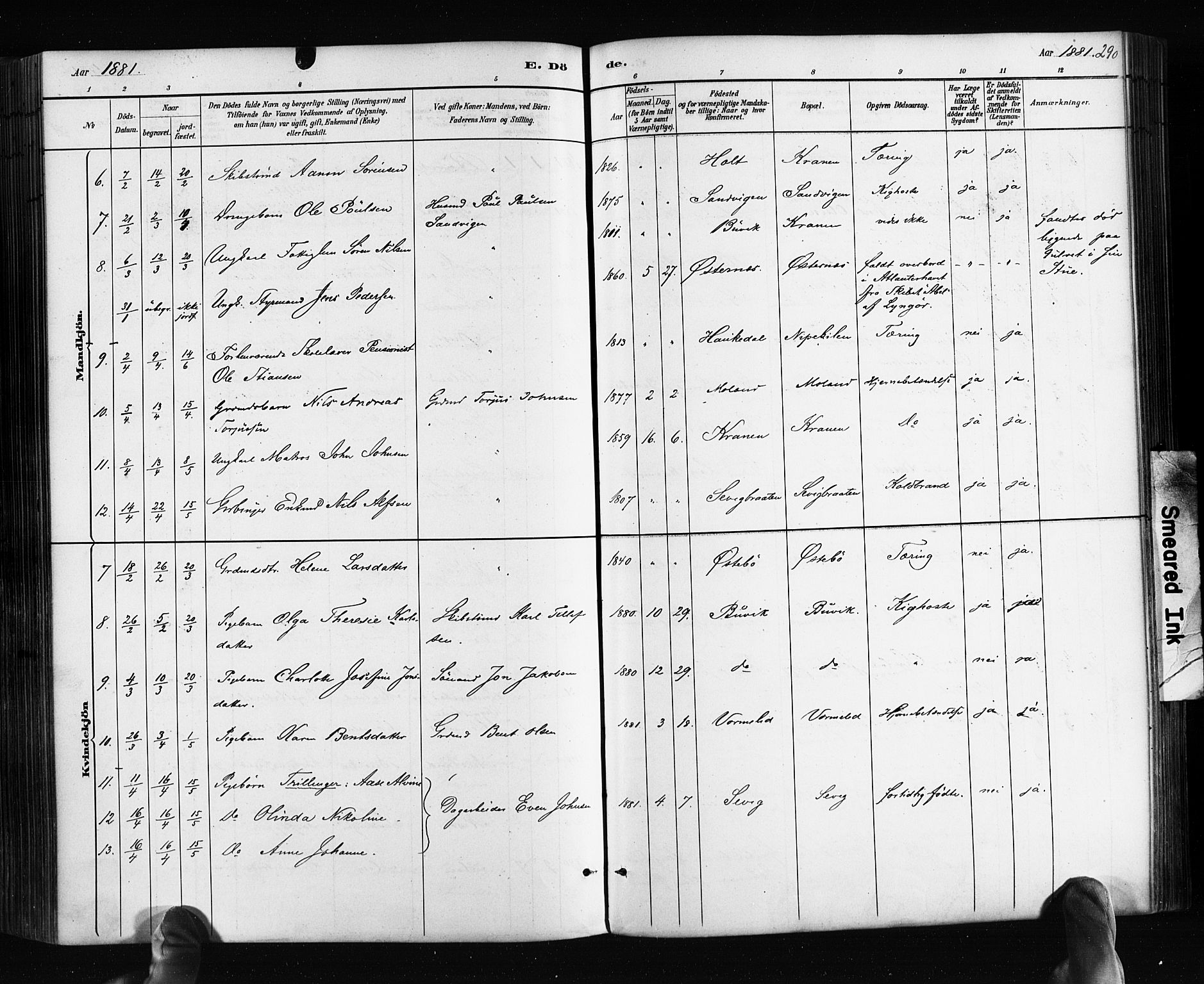 Søndeled sokneprestkontor, AV/SAK-1111-0038/F/Fa/L0004: Parish register (official) no. A 4, 1880-1889, p. 290