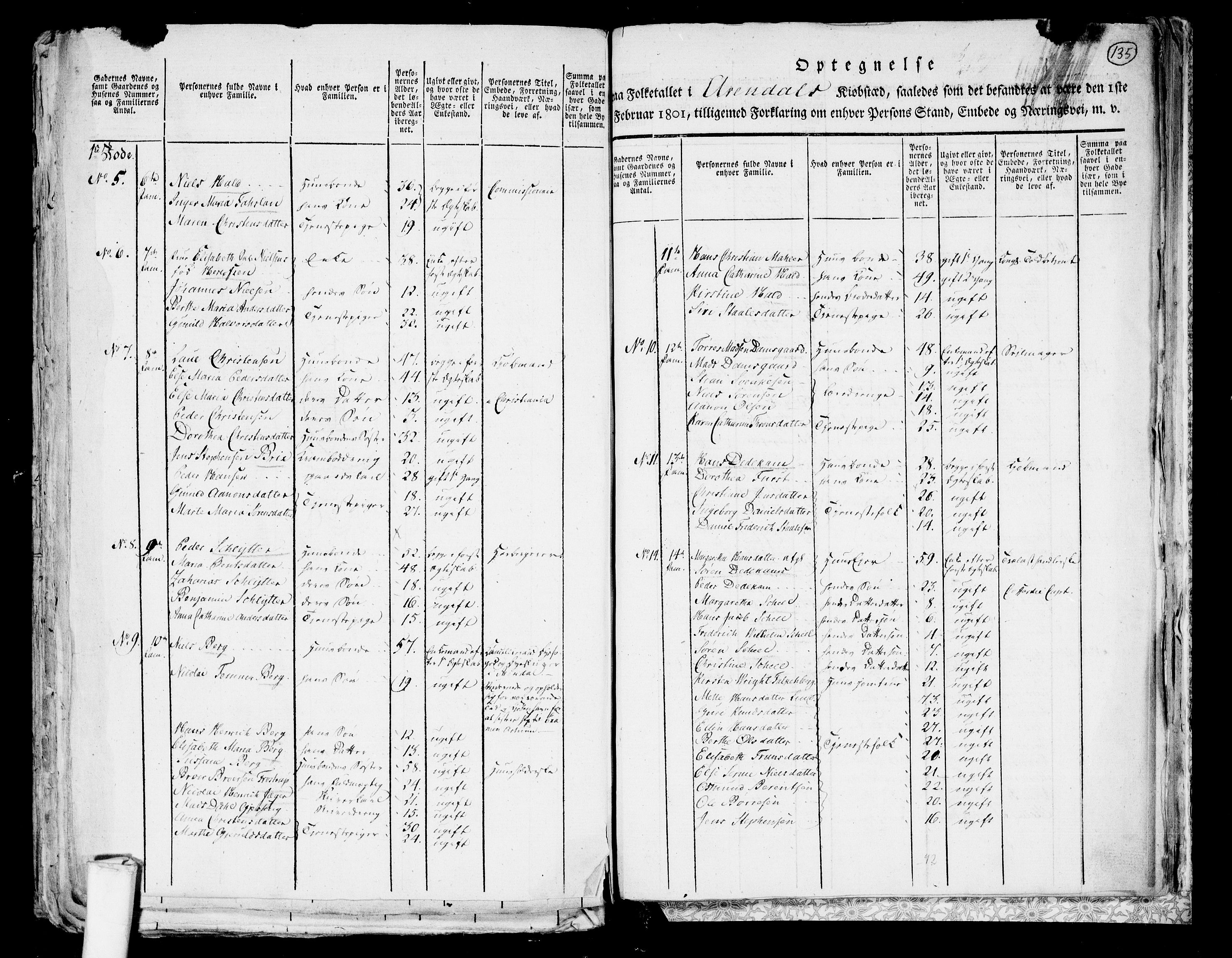 RA, 1801 census for 0903P Arendal, 1801, p. 134b-135a