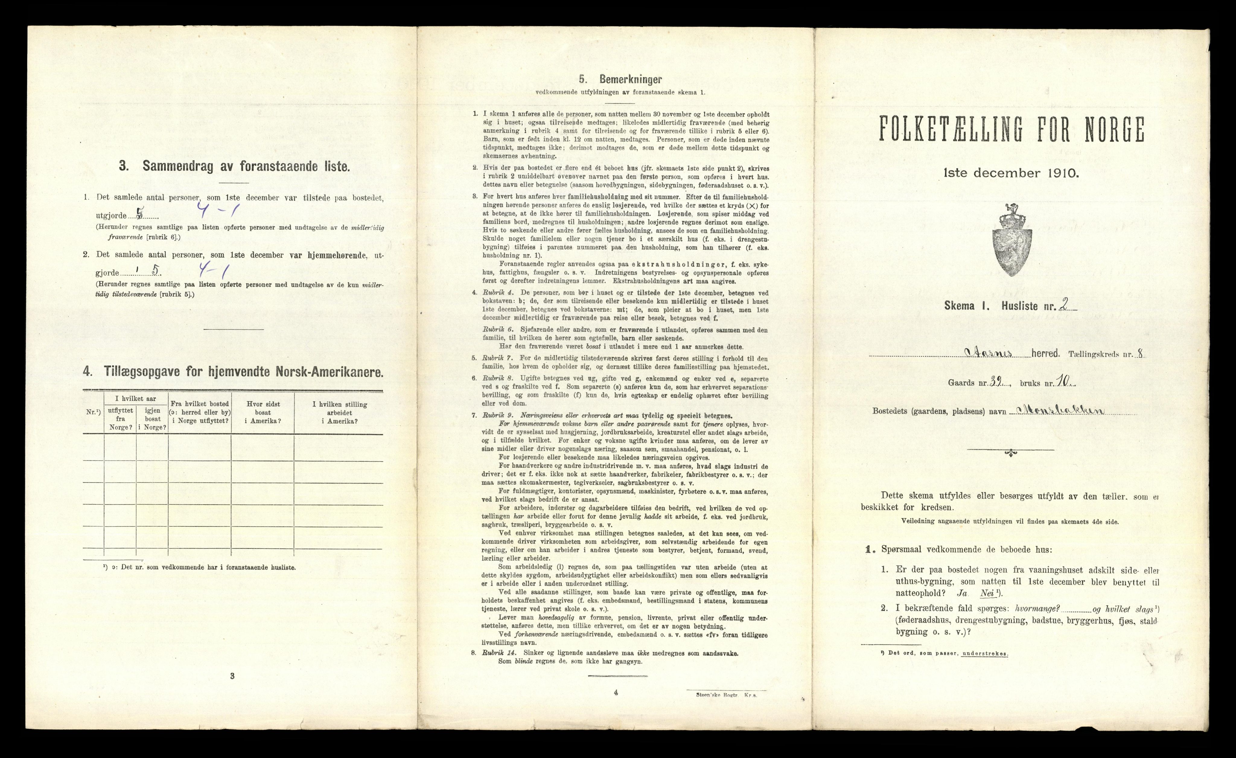 RA, 1910 census for Åsnes, 1910, p. 1036