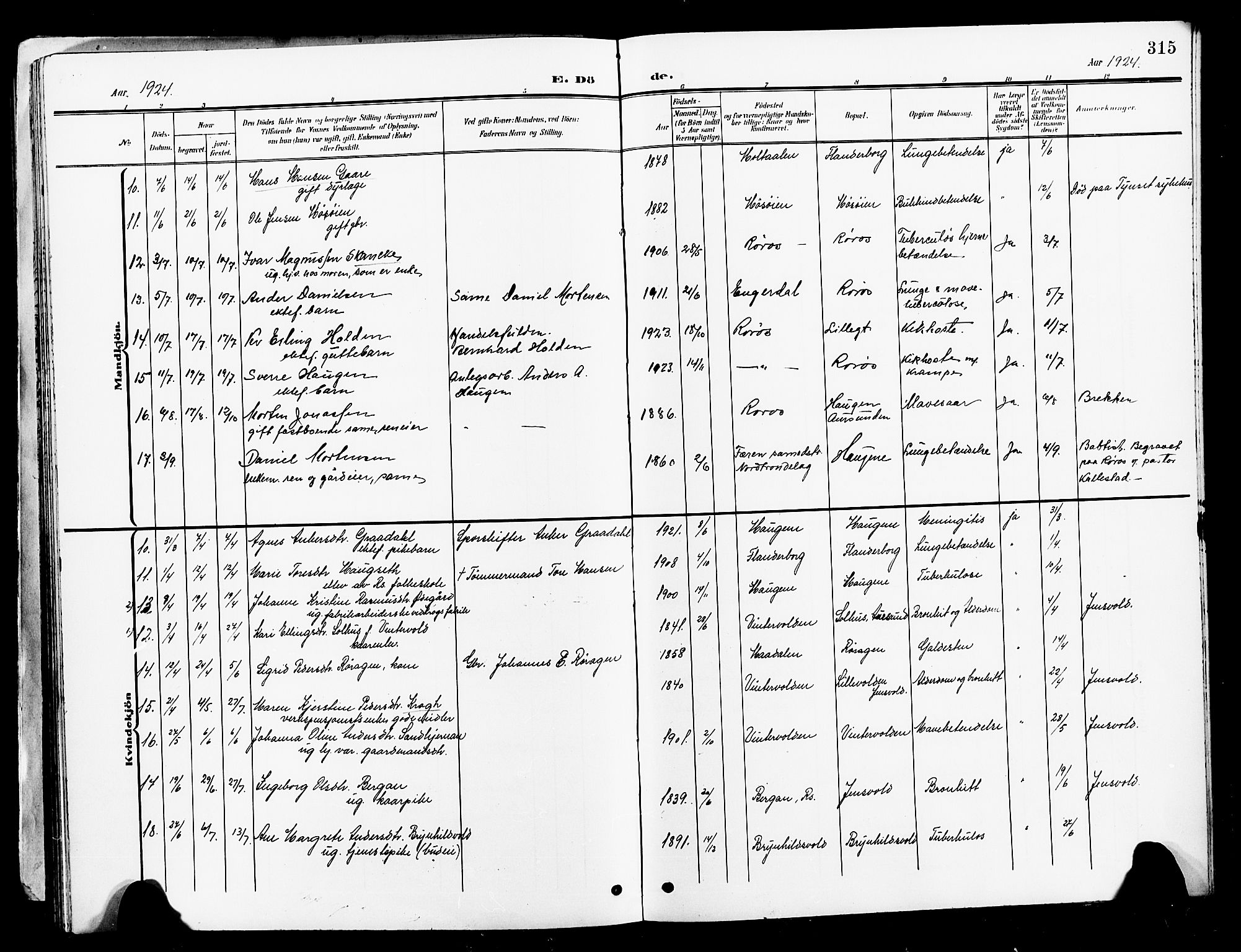 Ministerialprotokoller, klokkerbøker og fødselsregistre - Sør-Trøndelag, SAT/A-1456/681/L0942: Parish register (copy) no. 681C06, 1906-1925, p. 315