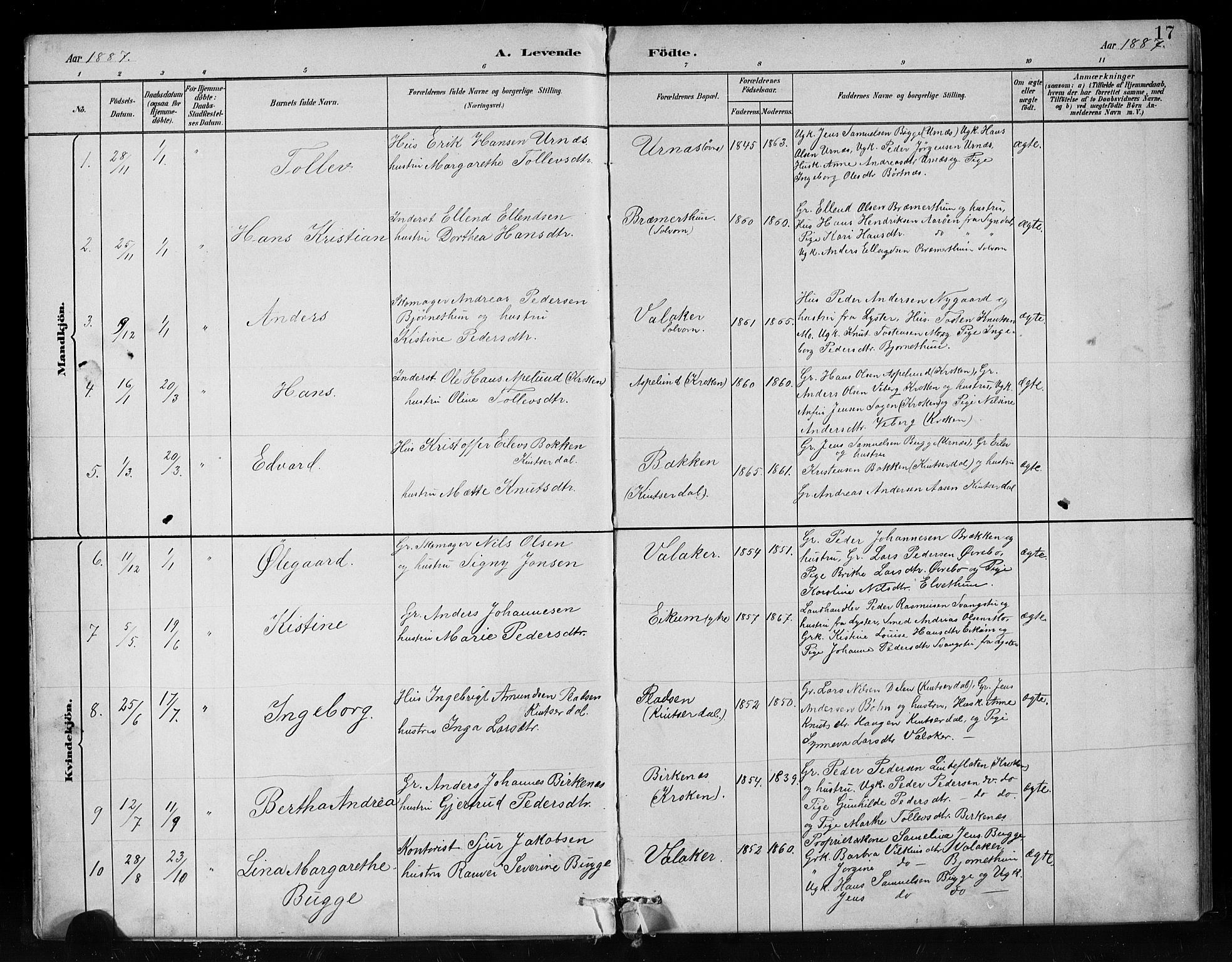 Hafslo sokneprestembete, SAB/A-80301/H/Hab/Habc/L0001: Parish register (copy) no. C 1, 1882-1908, p. 17