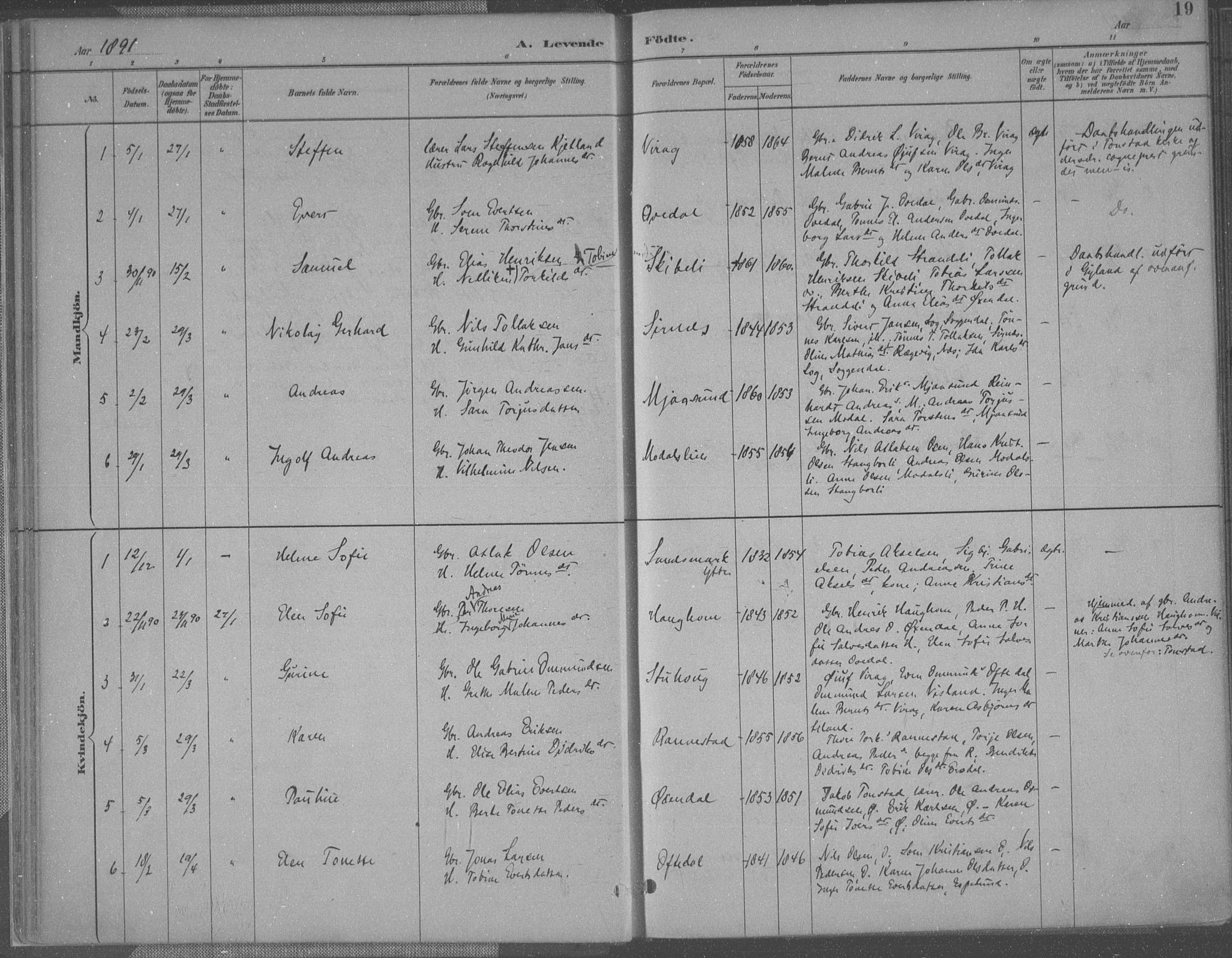 Bakke sokneprestkontor, SAK/1111-0002/F/Fa/Faa/L0008: Parish register (official) no. A 8, 1887-1911, p. 19