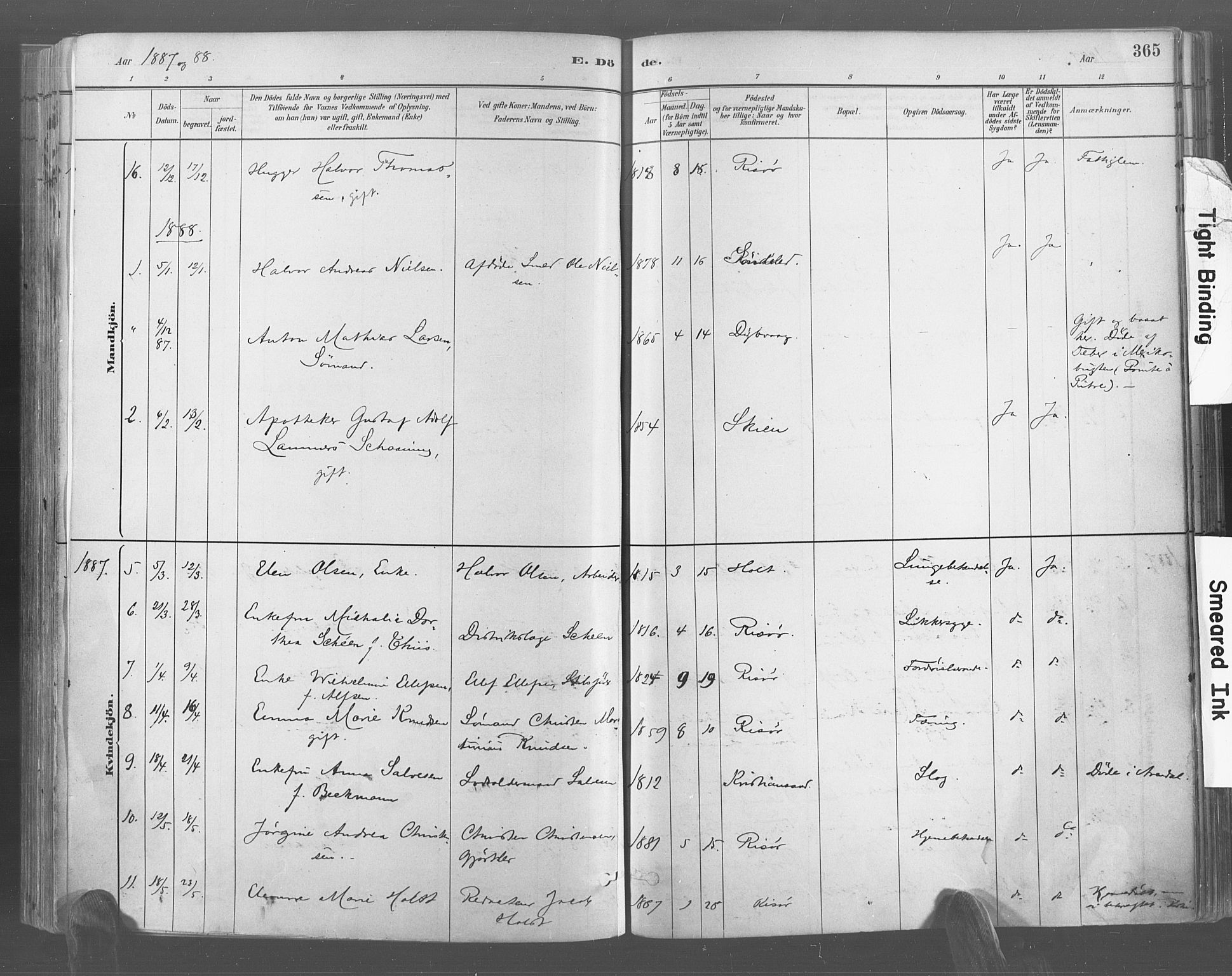 Risør sokneprestkontor, AV/SAK-1111-0035/F/Fa/L0005: Parish register (official) no. A 5, 1883-1895, p. 365