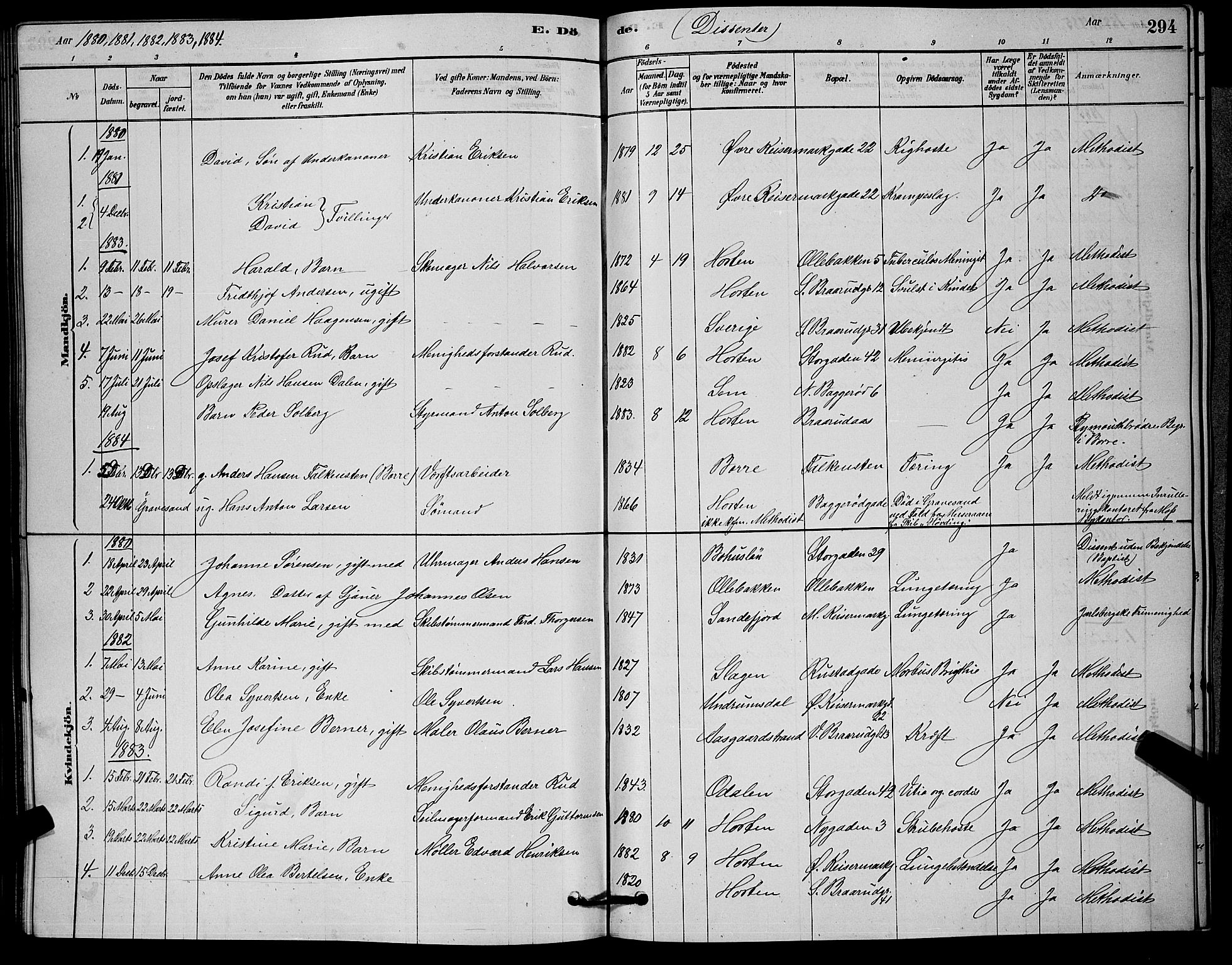 Horten kirkebøker, SAKO/A-348/G/Ga/L0003: Parish register (copy) no. 4, 1878-1887, p. 294