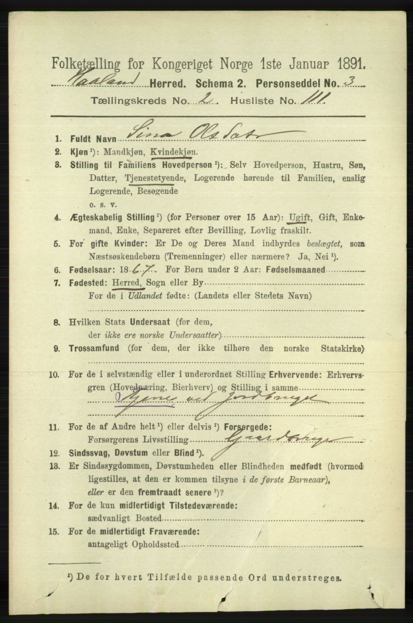 RA, 1891 census for 1124 Haaland, 1891, p. 1602