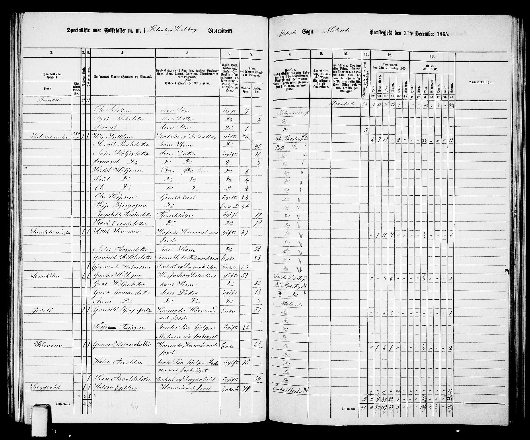 RA, 1865 census for Moland, 1865, p. 29