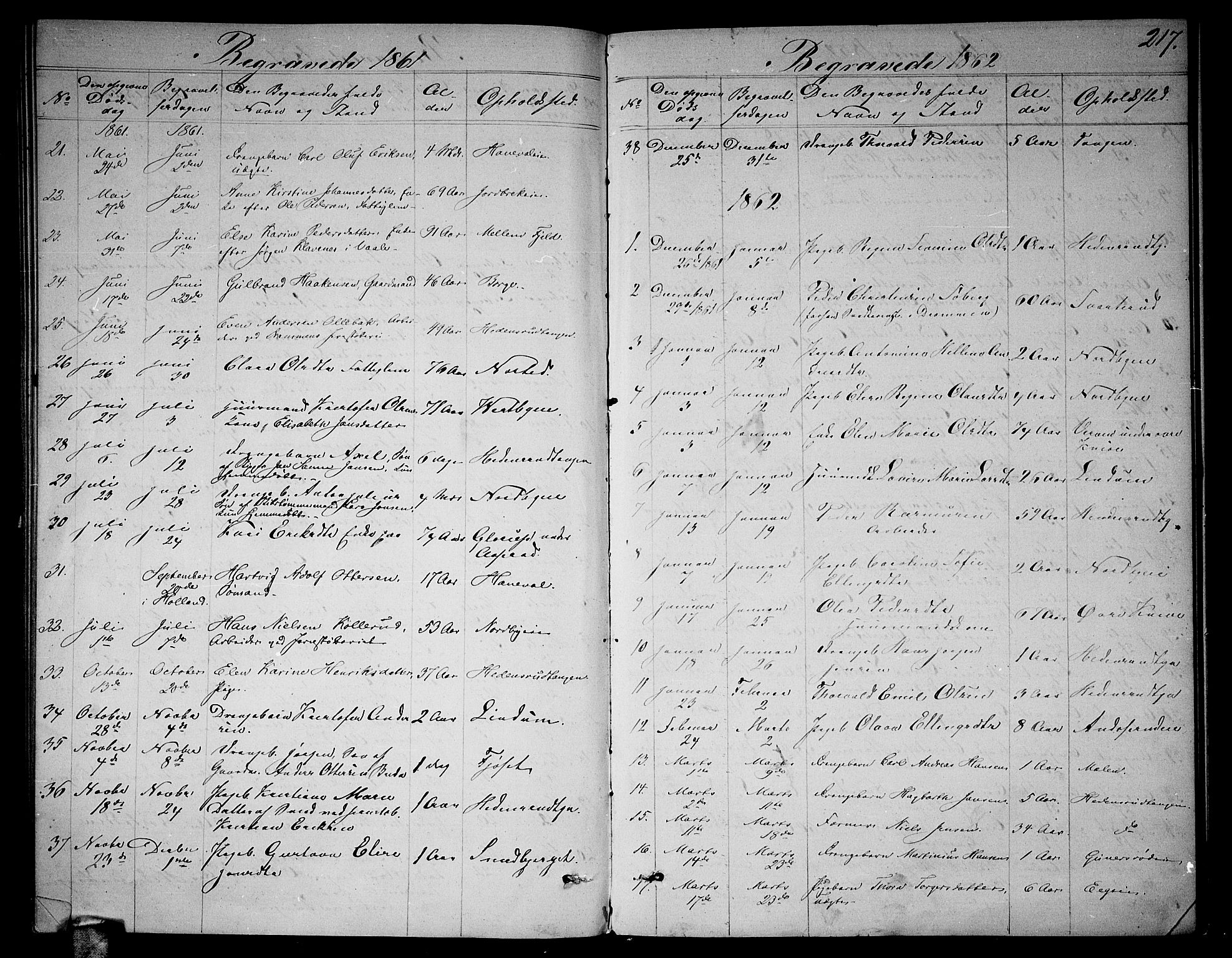 Skoger kirkebøker, AV/SAKO-A-59/G/Ga/L0002: Parish register (copy) no. I 2, 1860-1880, p. 217