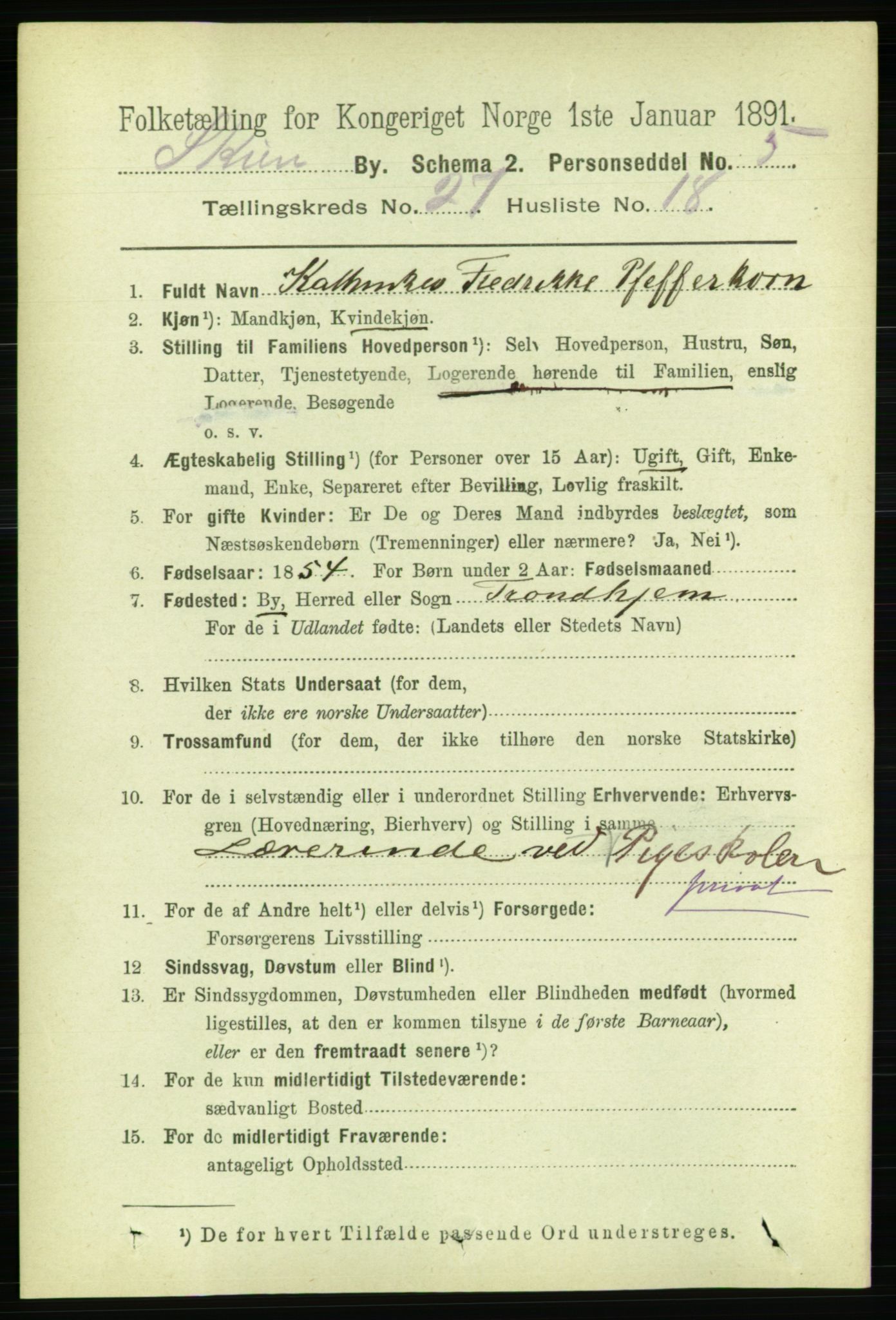 RA, 1891 census for 0806 Skien, 1891, p. 6492