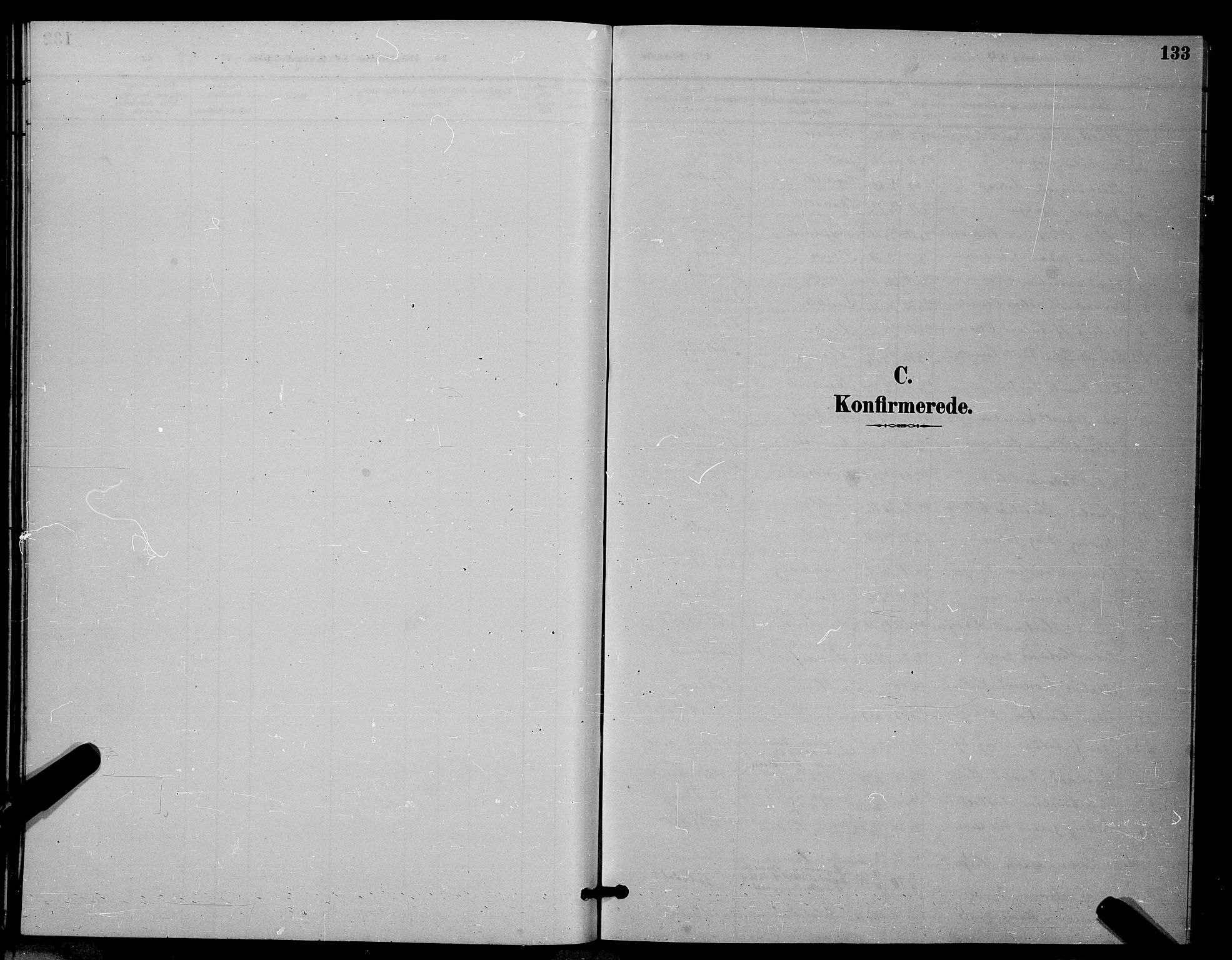 Ministerialprotokoller, klokkerbøker og fødselsregistre - Nordland, SAT/A-1459/805/L0108: Parish register (copy) no. 805C04, 1885-1899, p. 133