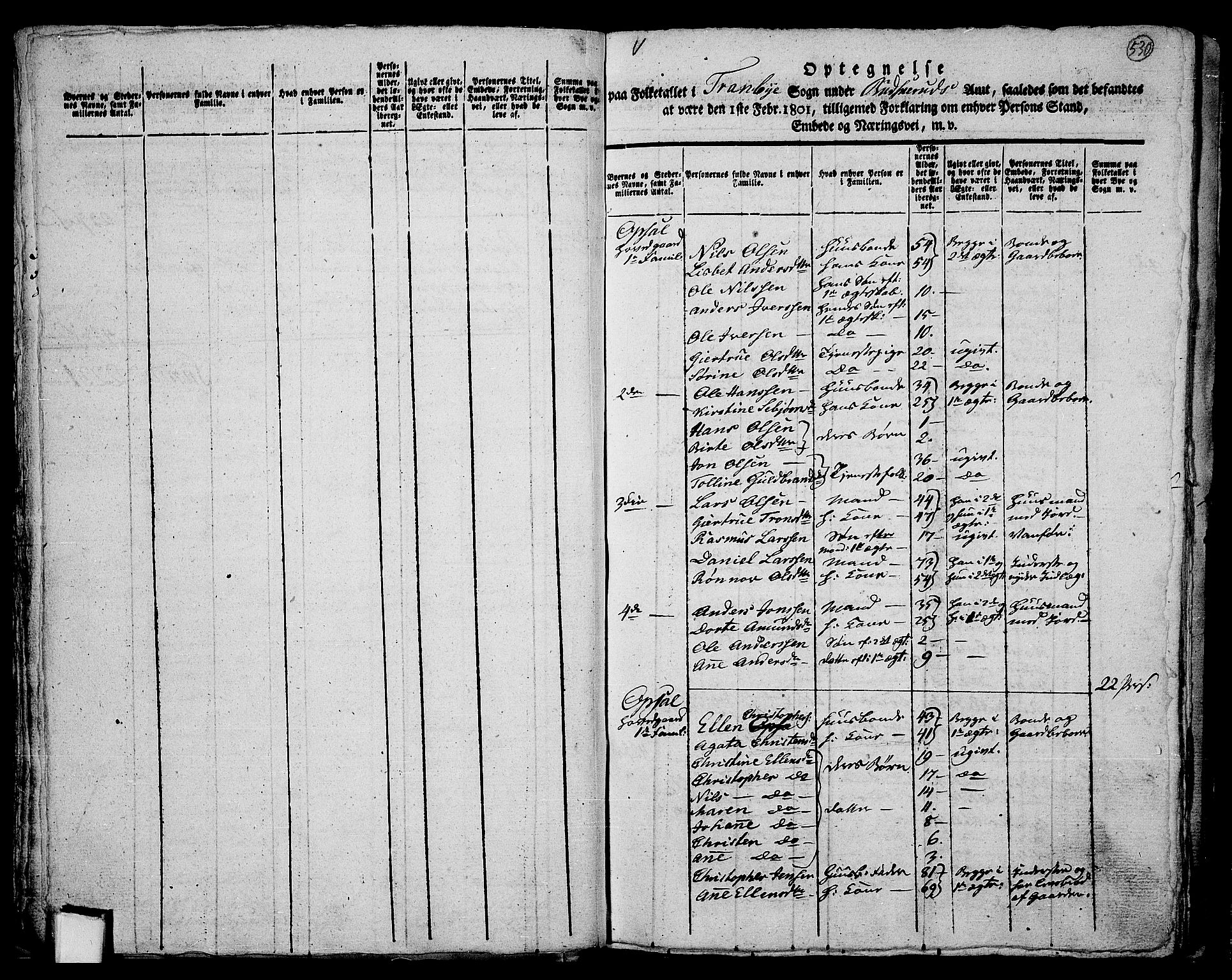 RA, 1801 census for 0626P Lier, 1801, p. 529b-530a