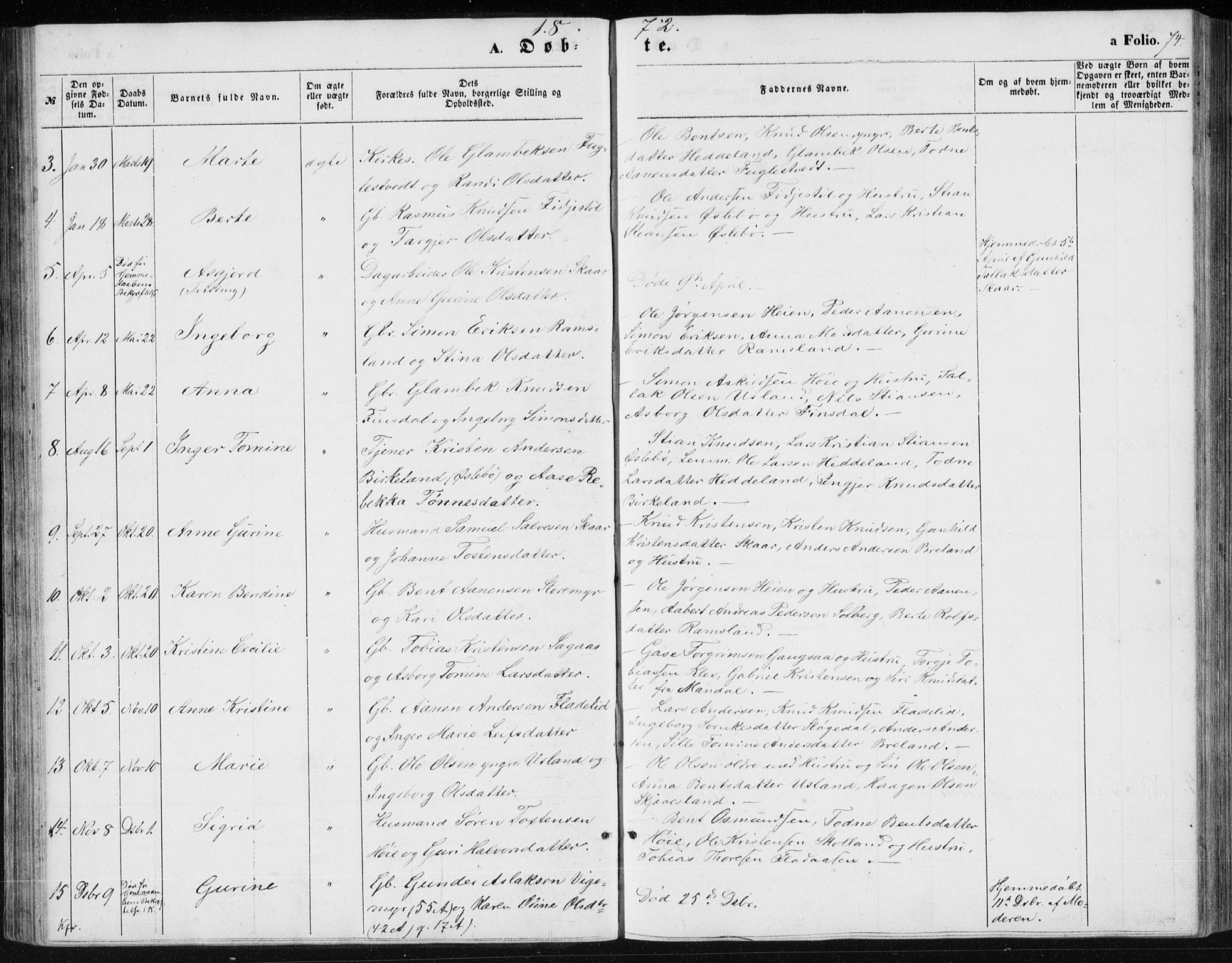 Holum sokneprestkontor, AV/SAK-1111-0022/F/Fb/Fbc/L0002: Parish register (copy) no. B 2, 1860-1882, p. 74