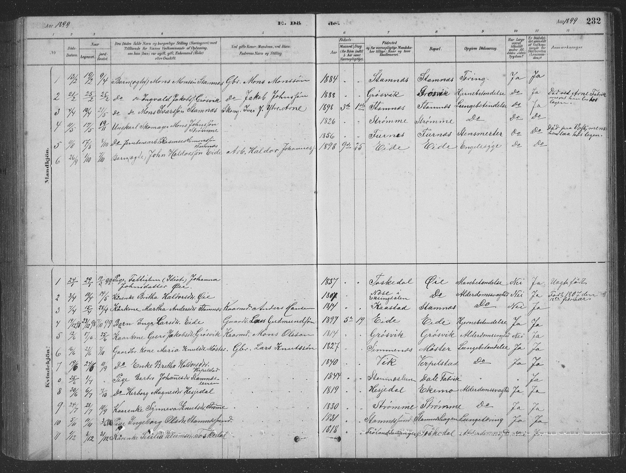 Vaksdal Sokneprestembete, SAB/A-78901/H/Hab: Parish register (copy) no. D 1, 1878-1939, p. 232