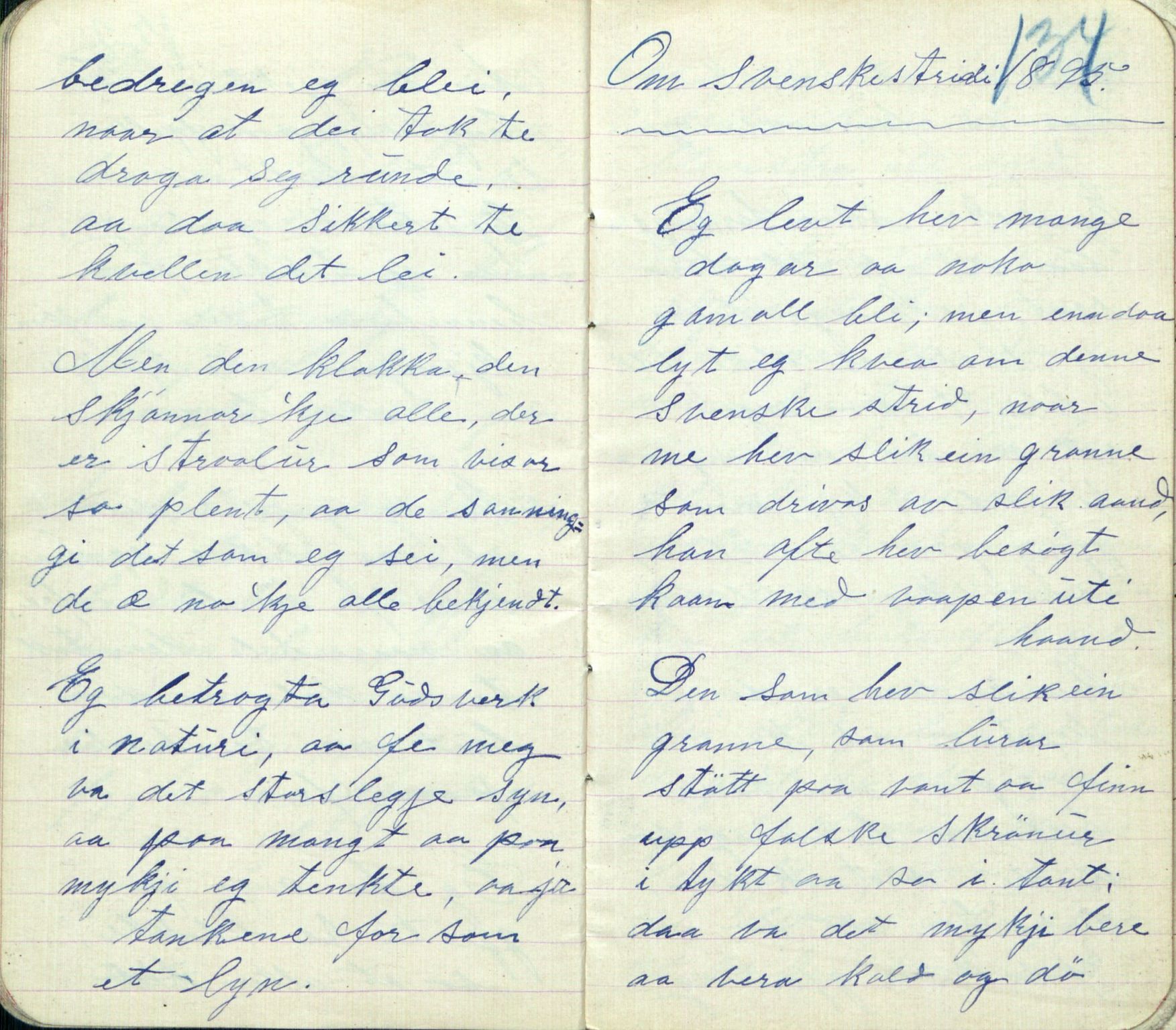 Rikard Berge, TEMU/TGM-A-1003/F/L0005/0007: 160-200 / 166 Skildring av innbu. Dagboksoppteikn. for R. B. 1896-97. Om spesielle ord og uttrykk, 1896-1897, p. 133-134