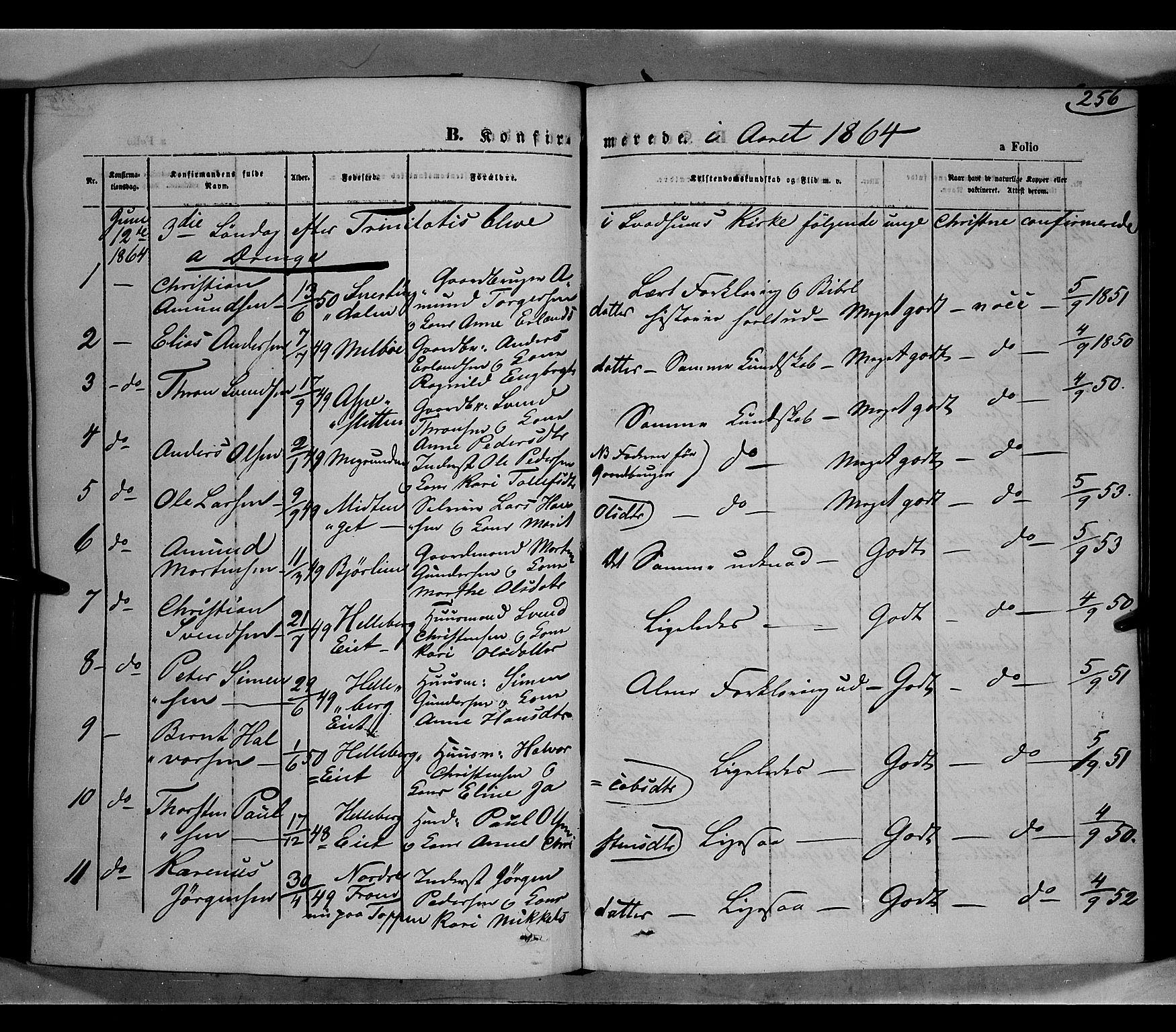 Gausdal prestekontor, AV/SAH-PREST-090/H/Ha/Haa/L0009: Parish register (official) no. 9, 1862-1873, p. 256