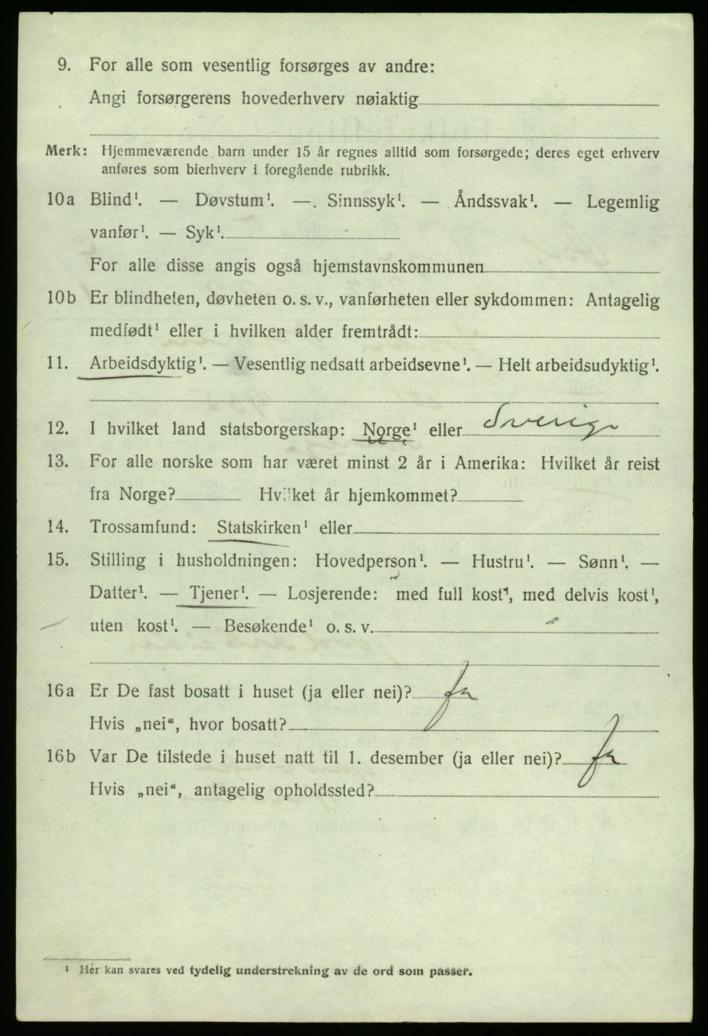 SAO, 1920 census for Borge, 1920, p. 11906