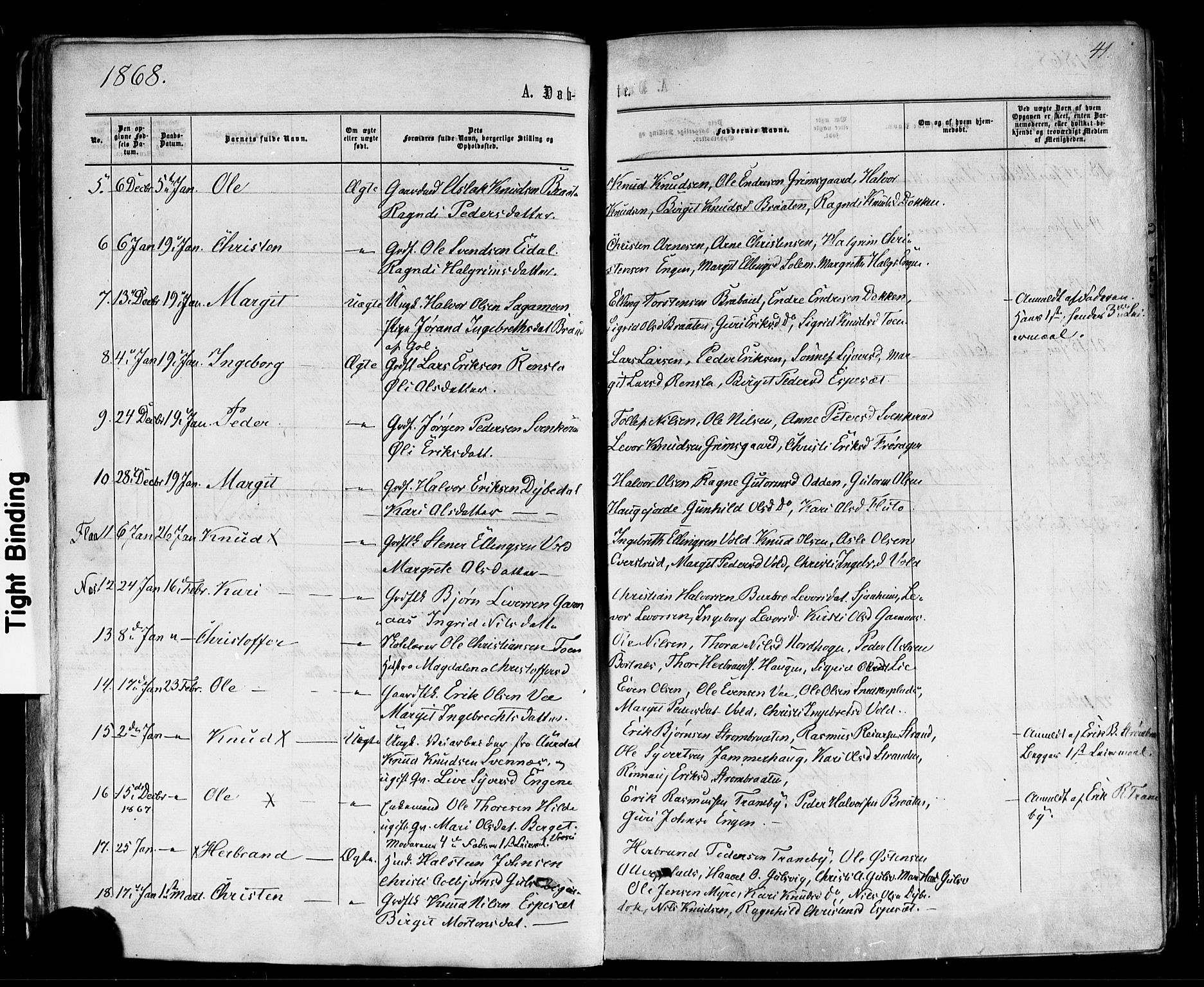 Nes kirkebøker, AV/SAKO-A-236/F/Fa/L0010: Parish register (official) no. 10, 1864-1880, p. 41