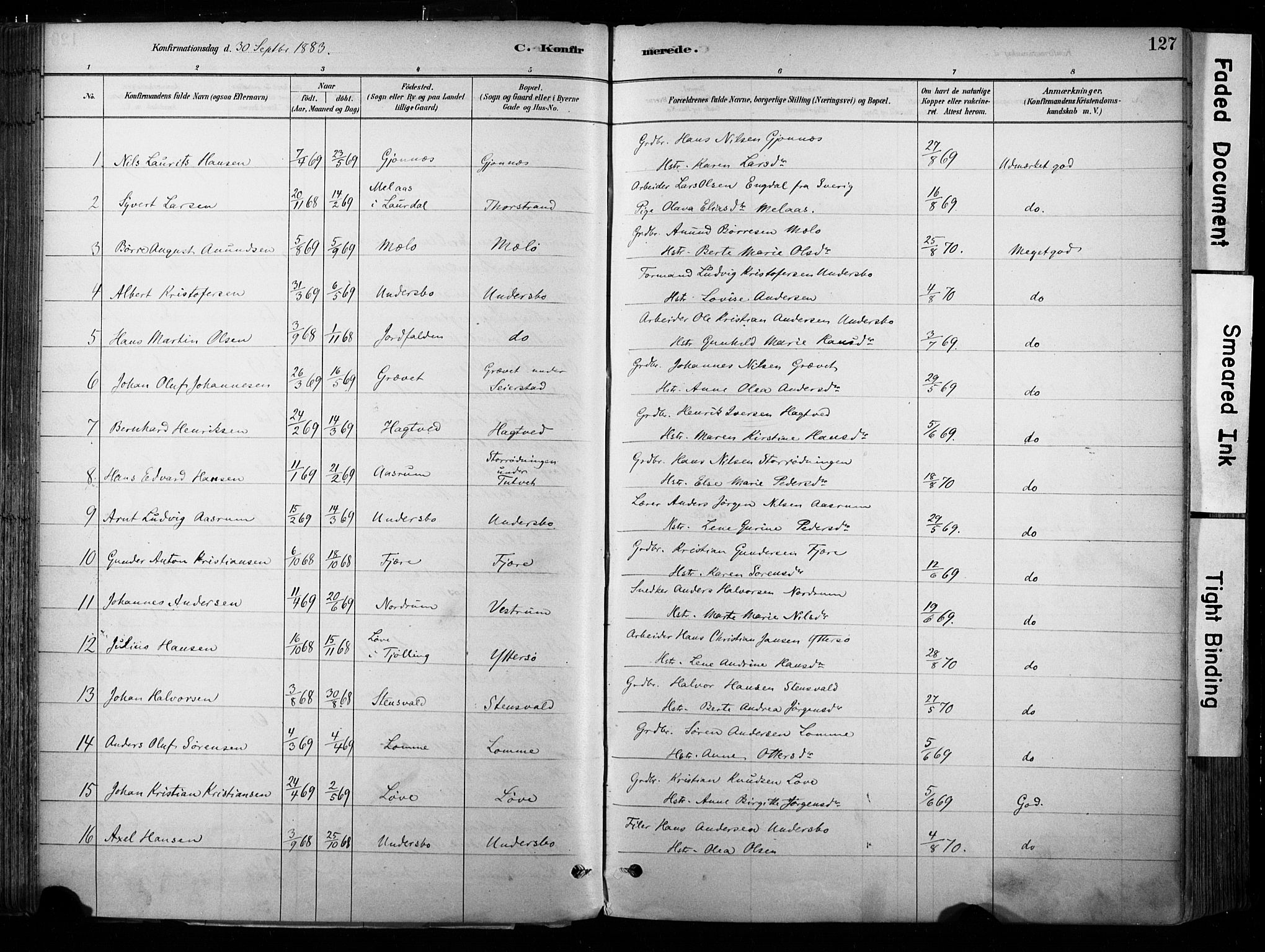 Hedrum kirkebøker, SAKO/A-344/F/Fa/L0009: Parish register (official) no. I 9, 1881-1903, p. 127