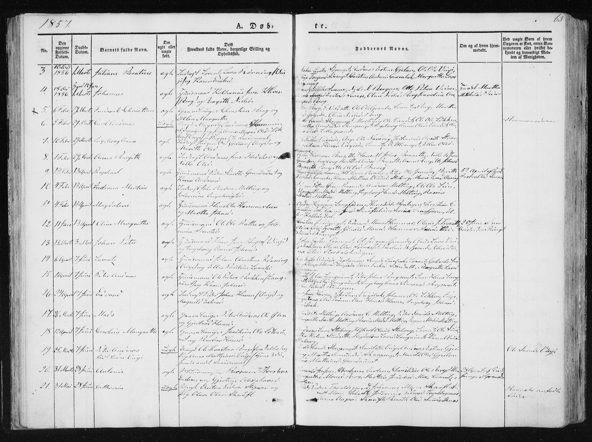 Ministerialprotokoller, klokkerbøker og fødselsregistre - Nord-Trøndelag, SAT/A-1458/733/L0323: Parish register (official) no. 733A02, 1843-1870, p. 63