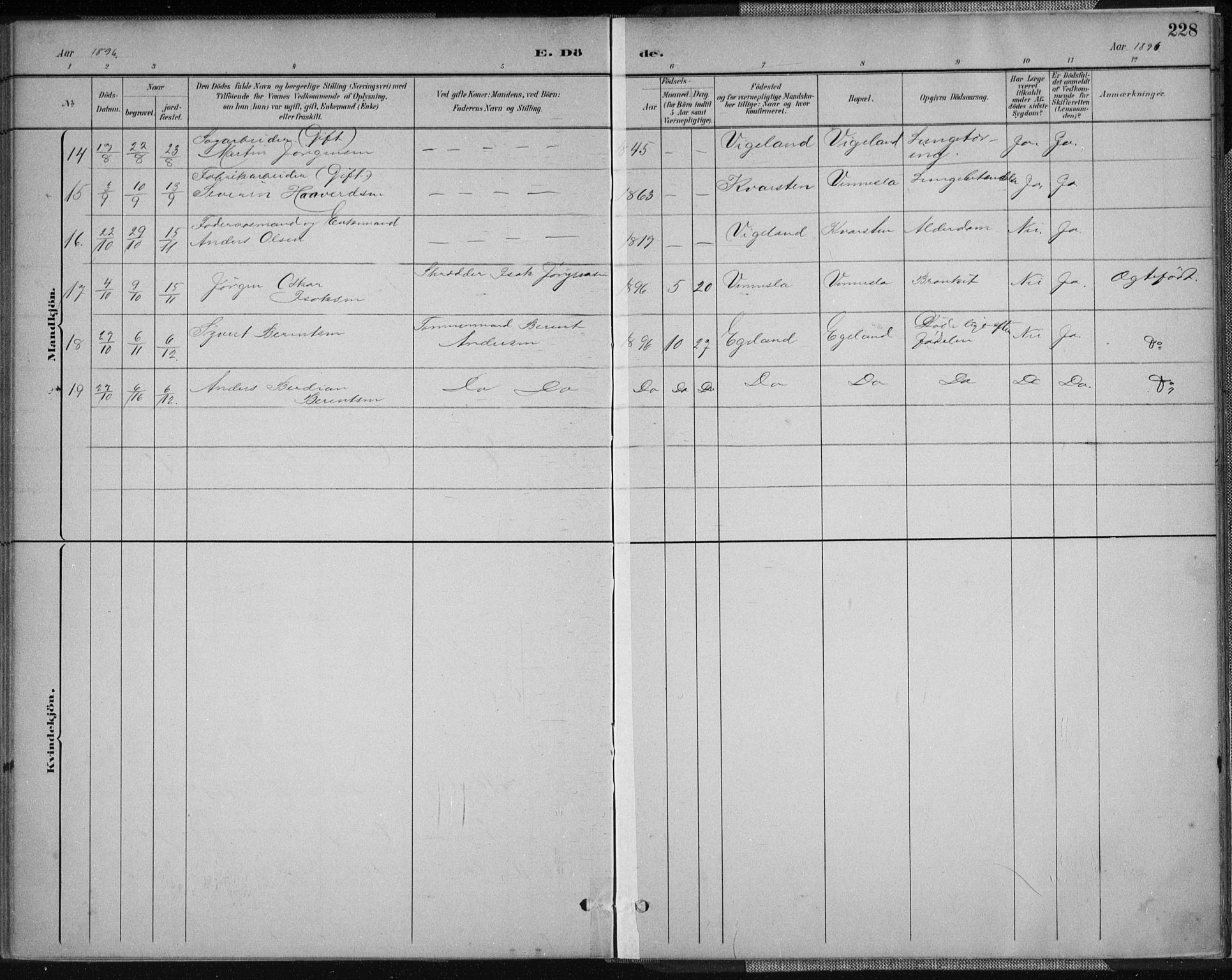 Vennesla sokneprestkontor, AV/SAK-1111-0045/Fa/Fab/L0004: Parish register (official) no. A 4, 1884-1896, p. 228