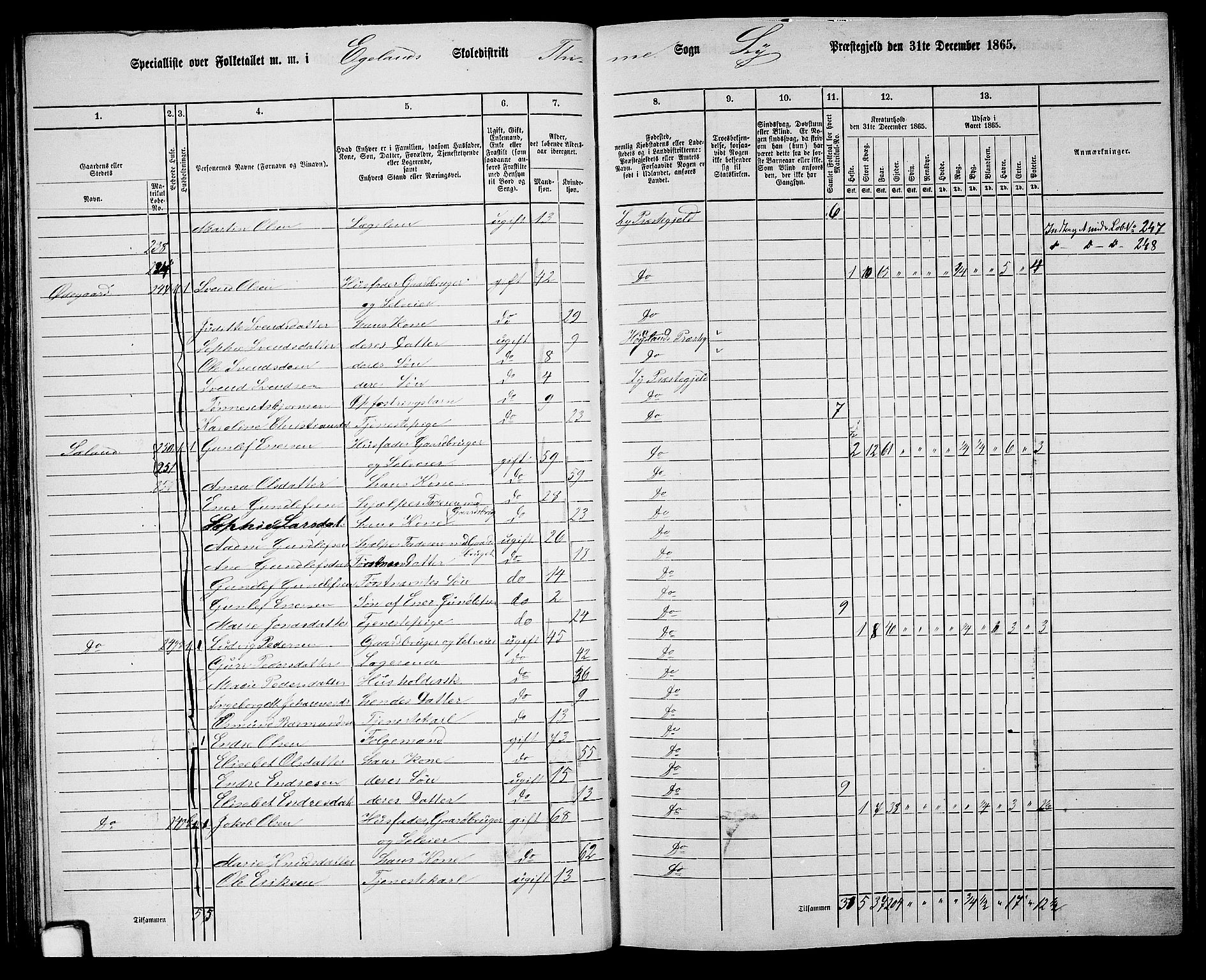 RA, 1865 census for Lye, 1865, p. 52