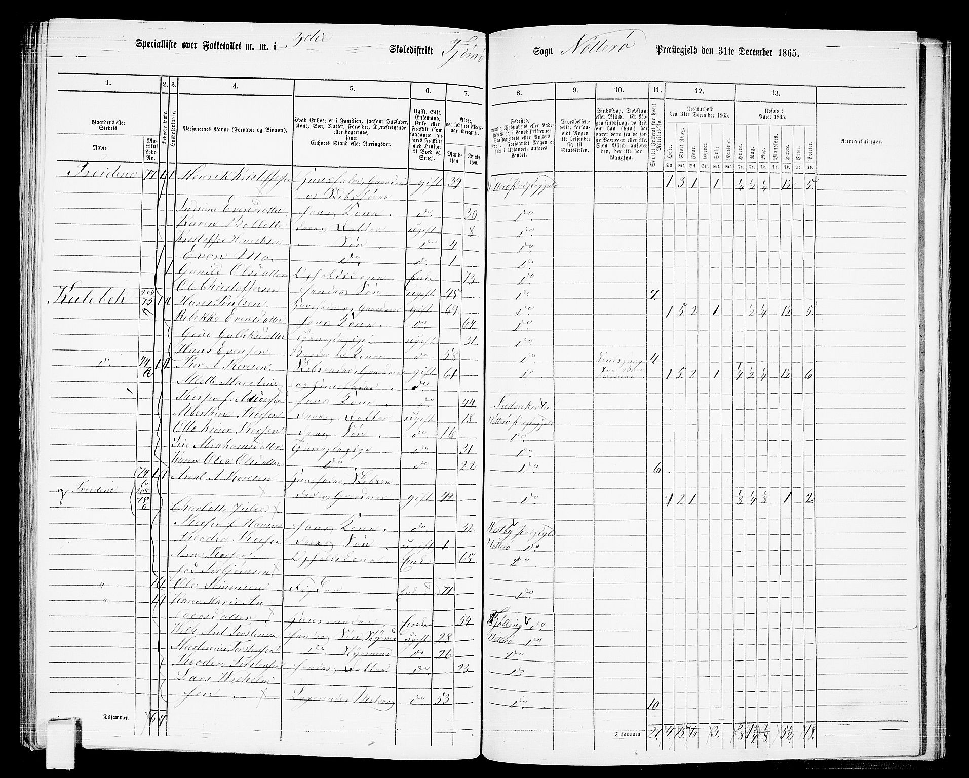 RA, 1865 census for Nøtterøy, 1865, p. 285