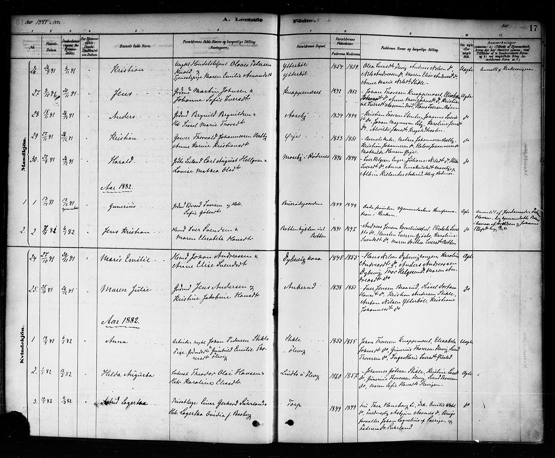 Aremark prestekontor Kirkebøker, SAO/A-10899/F/Fb/L0004: Parish register (official) no. II 4, 1878-1895, p. 17