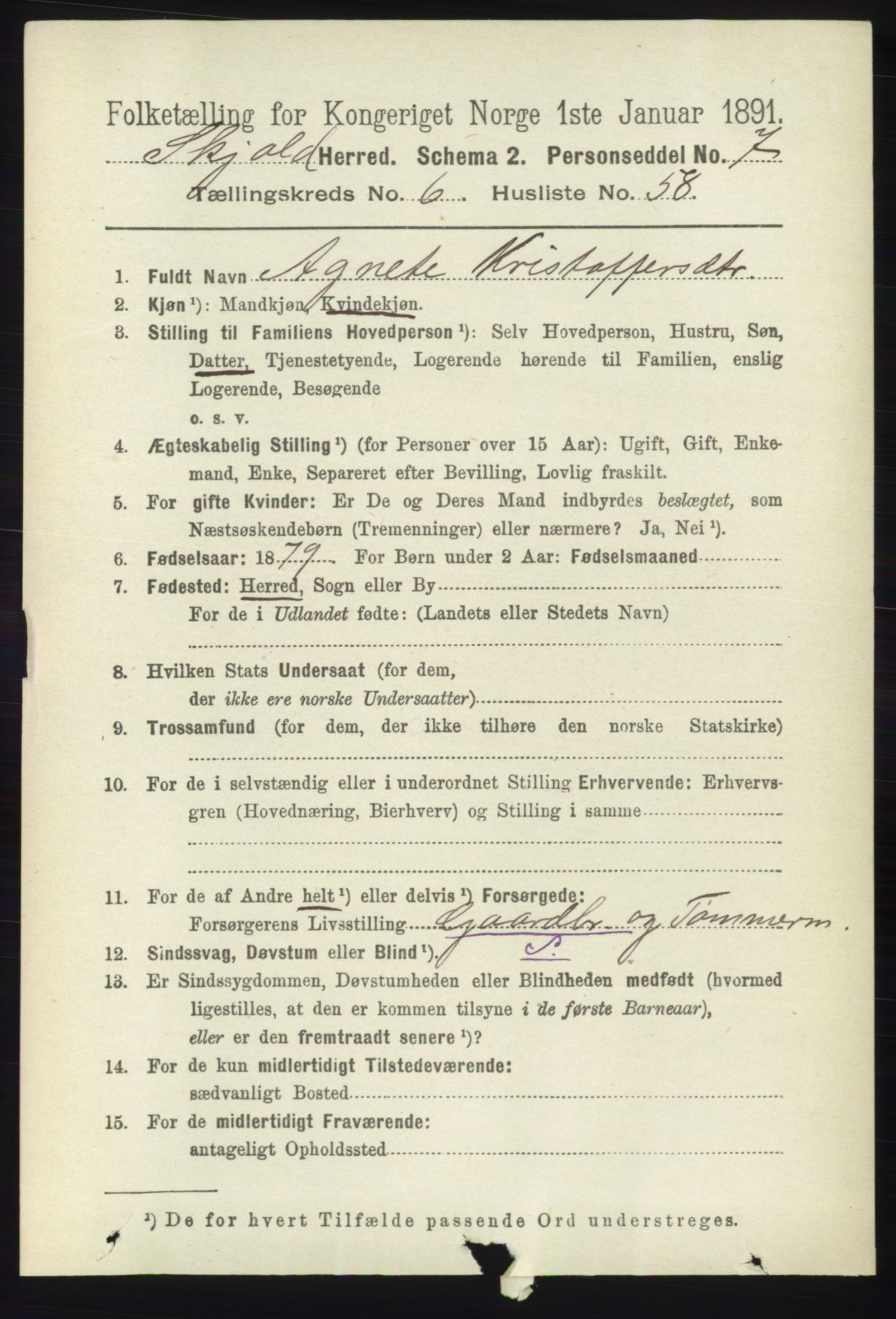 RA, 1891 census for 1154 Skjold, 1891, p. 1299