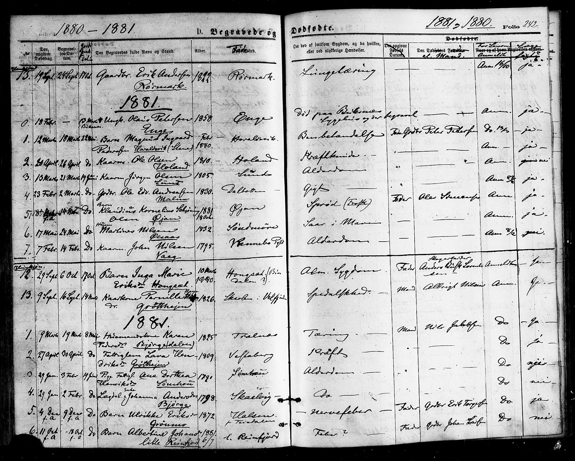 Ministerialprotokoller, klokkerbøker og fødselsregistre - Nordland, SAT/A-1459/812/L0177: Parish register (official) no. 812A06, 1875-1885, p. 242
