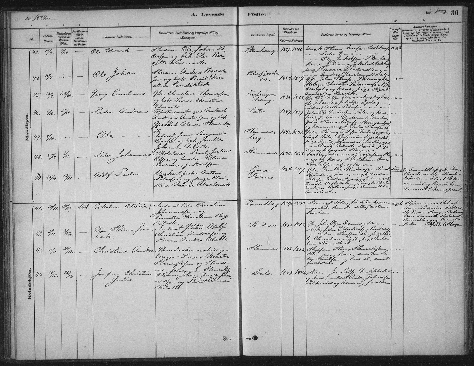 Ministerialprotokoller, klokkerbøker og fødselsregistre - Nordland, AV/SAT-A-1459/825/L0361: Parish register (official) no. 825A15, 1878-1893, p. 36