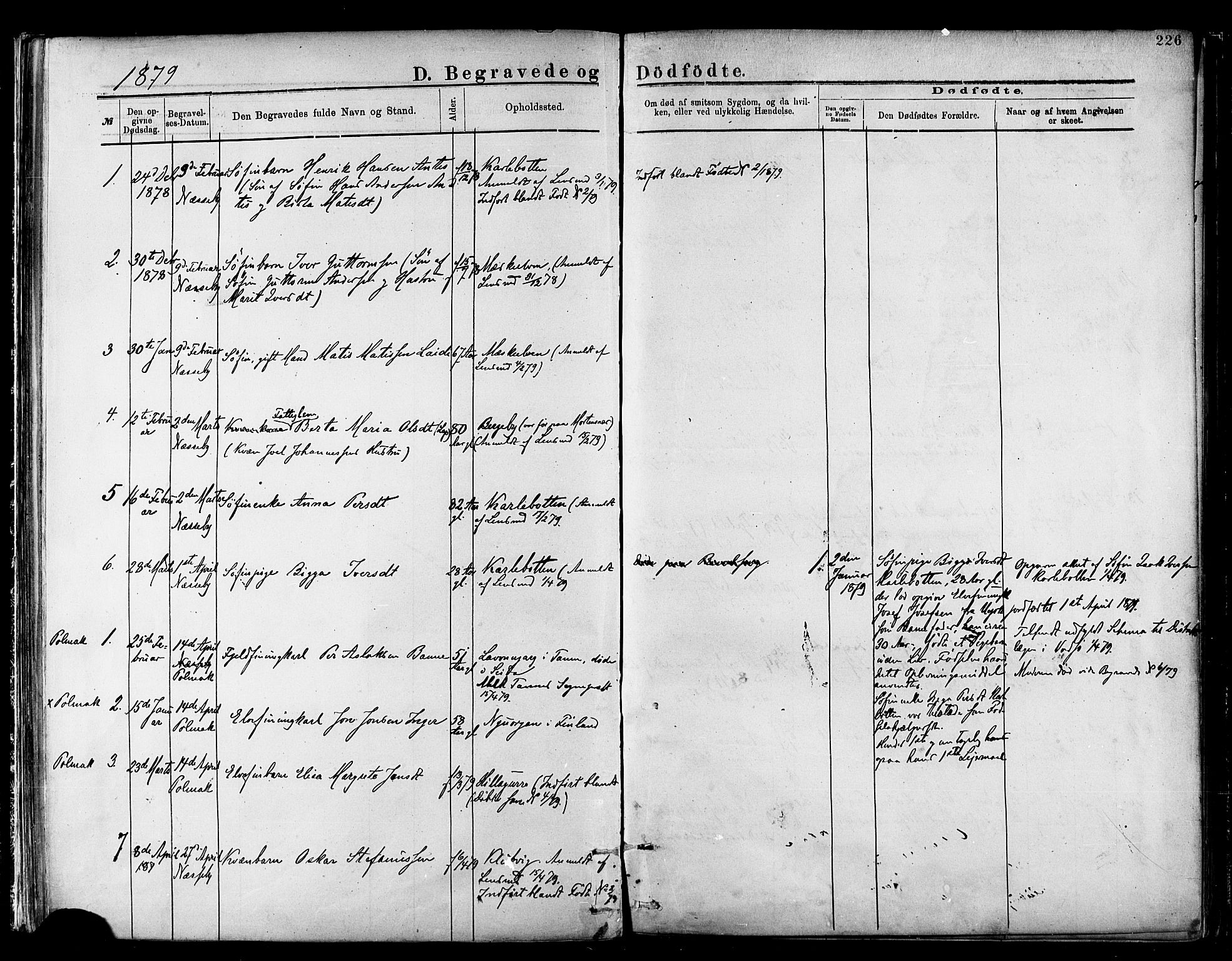 Nesseby sokneprestkontor, SATØ/S-1330/H/Ha/L0004kirke: Parish register (official) no. 4, 1877-1884, p. 226