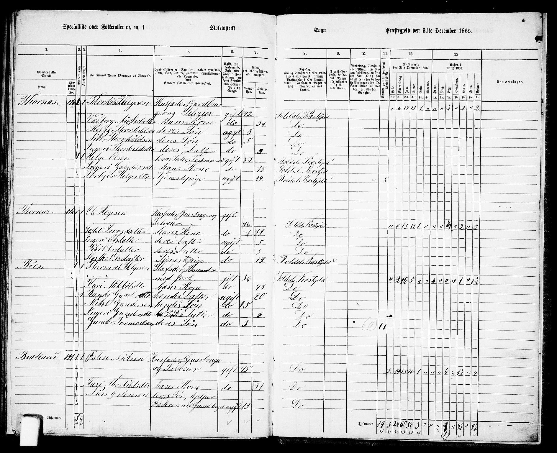 RA, 1865 census for Suldal, 1865, p. 119