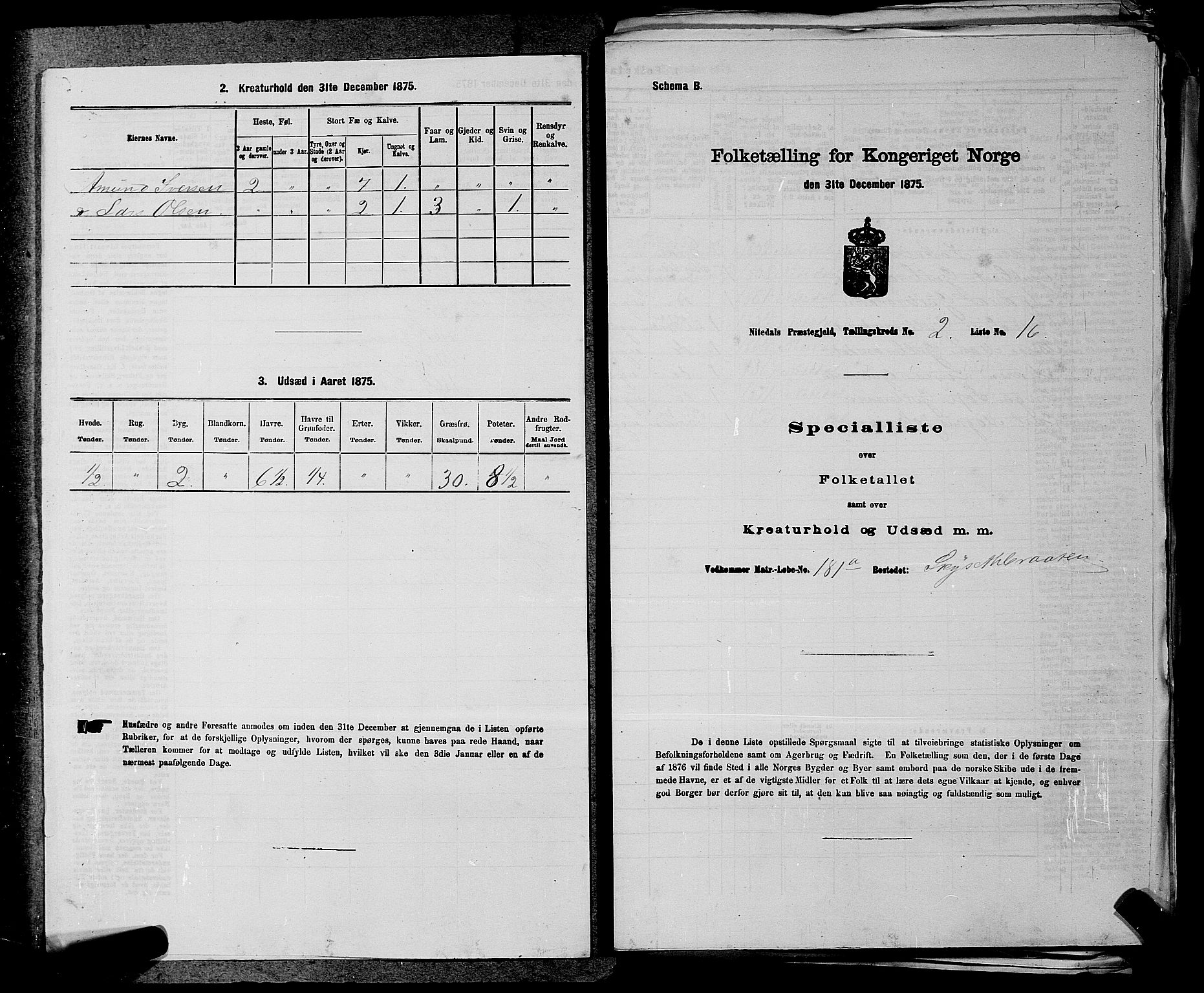 RA, 1875 census for 0233P Nittedal, 1875, p. 194