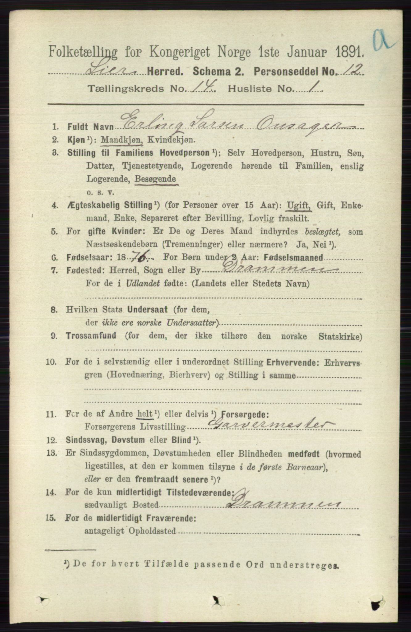 RA, 1891 census for 0626 Lier, 1891, p. 8277