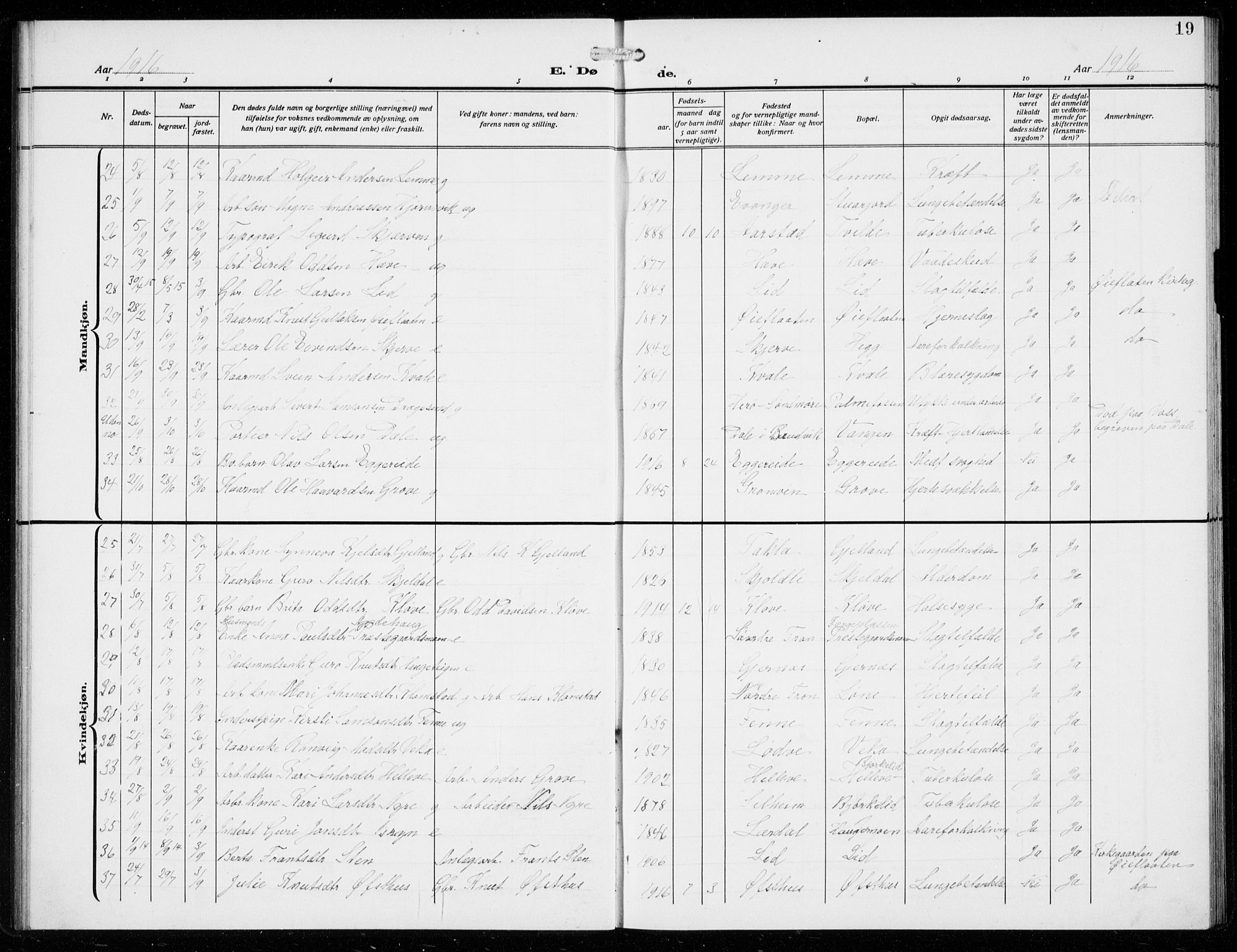 Voss sokneprestembete, SAB/A-79001/H/Hab: Parish register (copy) no. F  2, 1913-1932, p. 19