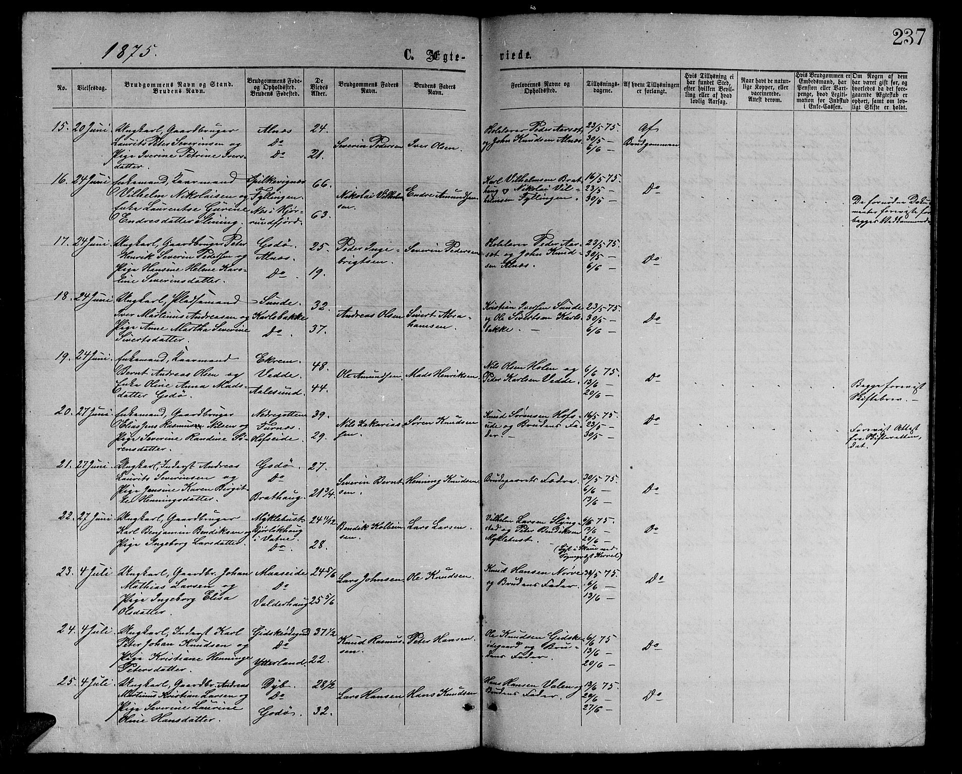 Ministerialprotokoller, klokkerbøker og fødselsregistre - Møre og Romsdal, AV/SAT-A-1454/528/L0428: Parish register (copy) no. 528C09, 1864-1880, p. 237