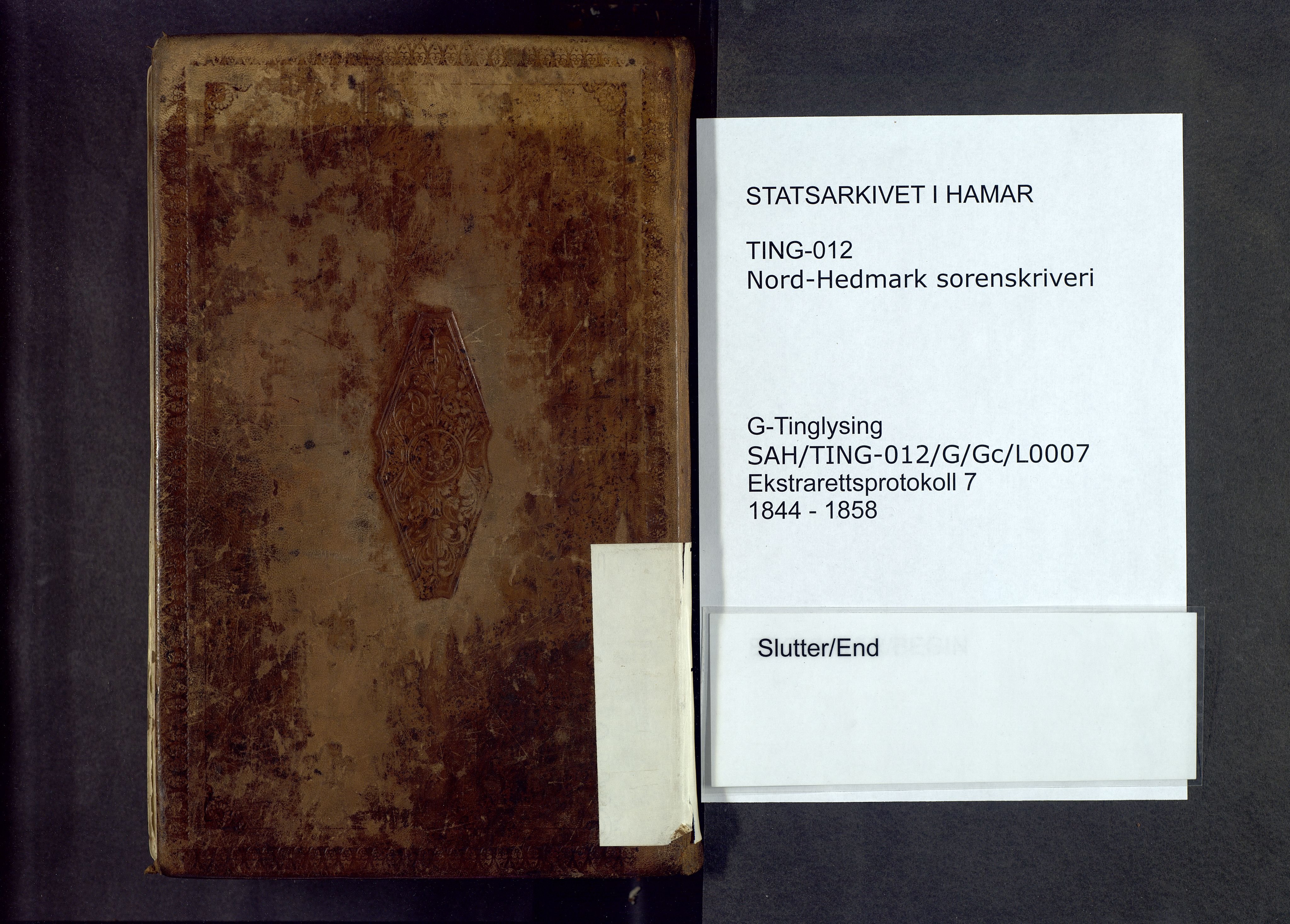 Nord-Hedmark sorenskriveri, AV/SAH-TING-012/G/Gc/L0007: Ekstrarettsprotokoll, 1844-1858