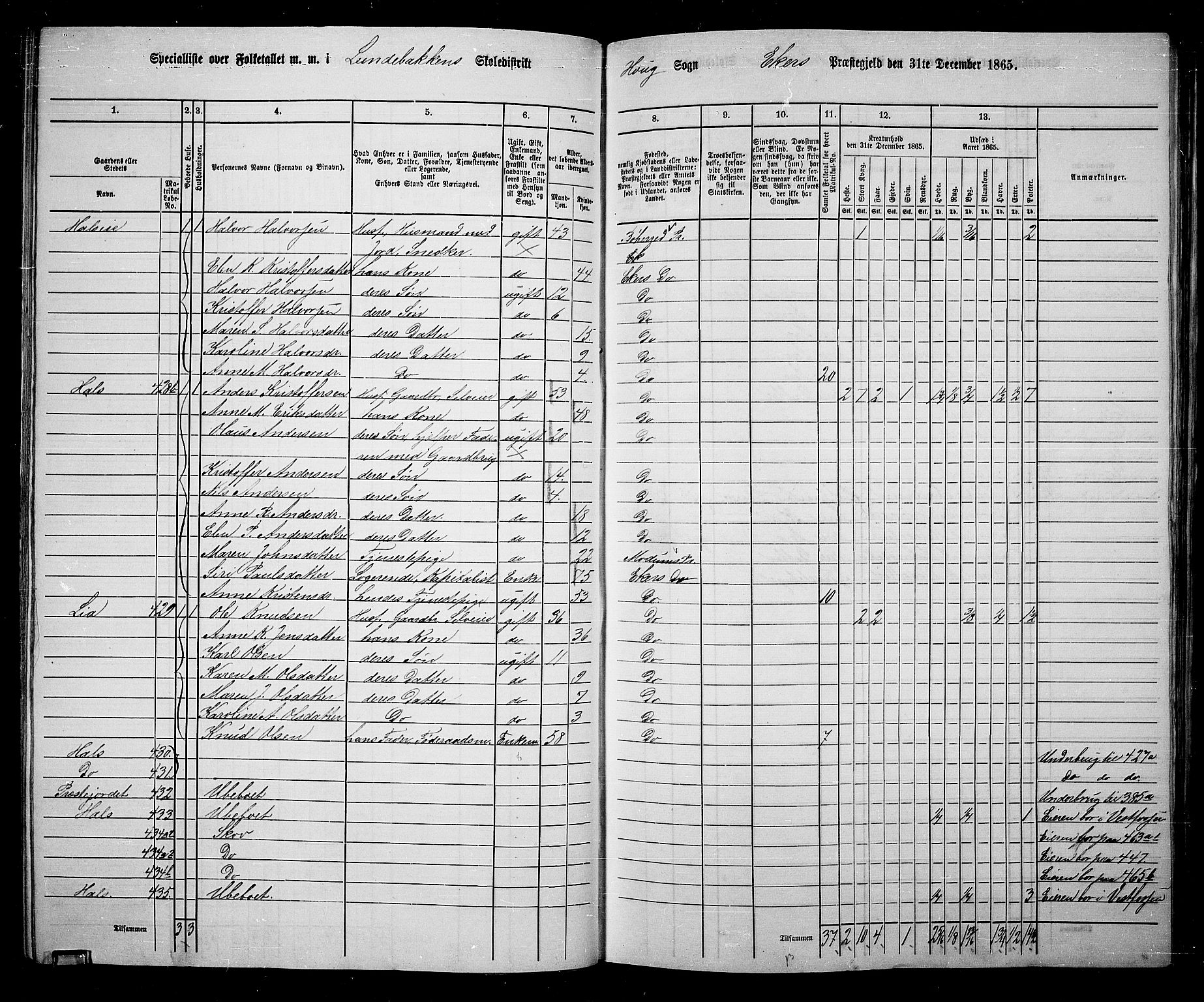 RA, 1865 census for Eiker, 1865, p. 101