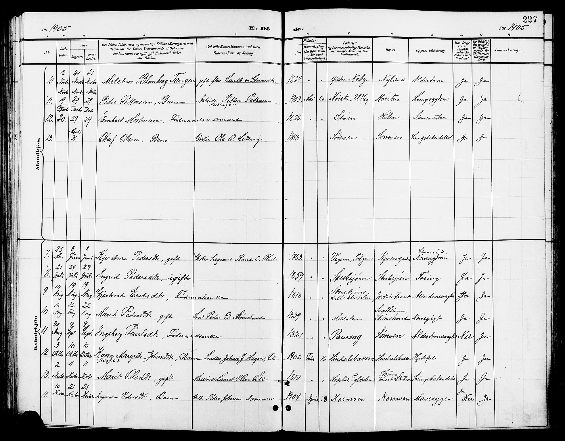 Tynset prestekontor, AV/SAH-PREST-058/H/Ha/Hab/L0009: Parish register (copy) no. 9, 1900-1914, p. 227