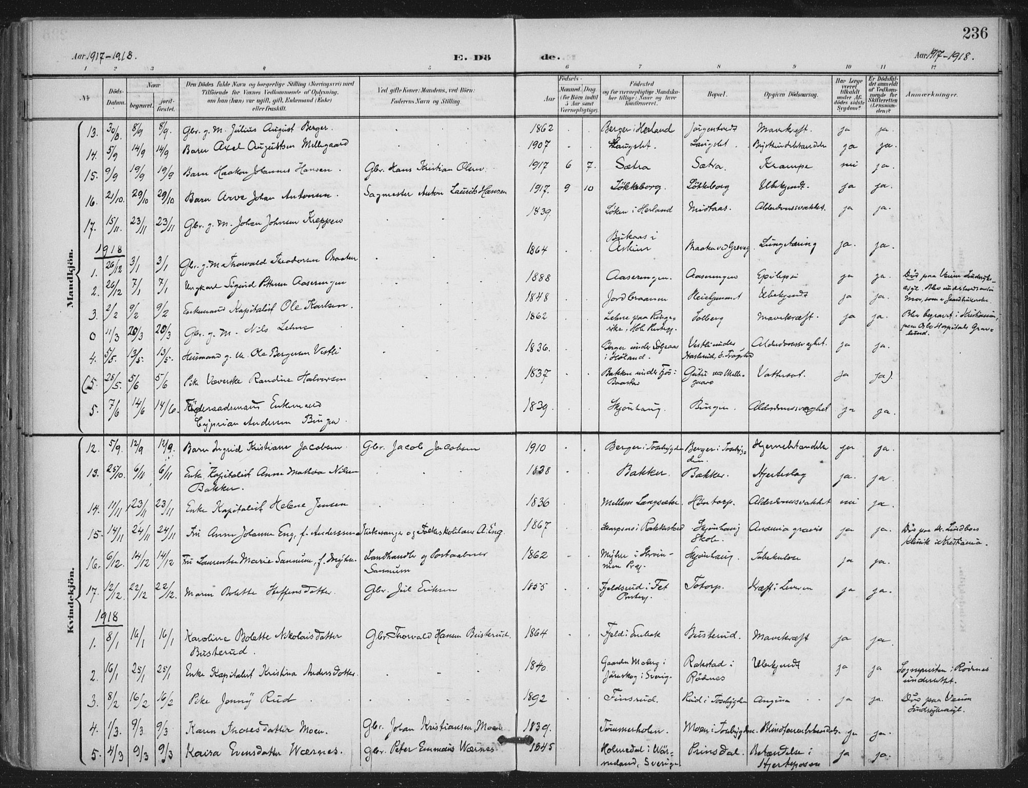 Trøgstad prestekontor Kirkebøker, AV/SAO-A-10925/F/Fa/L0011: Parish register (official) no. I 11, 1899-1919, p. 236