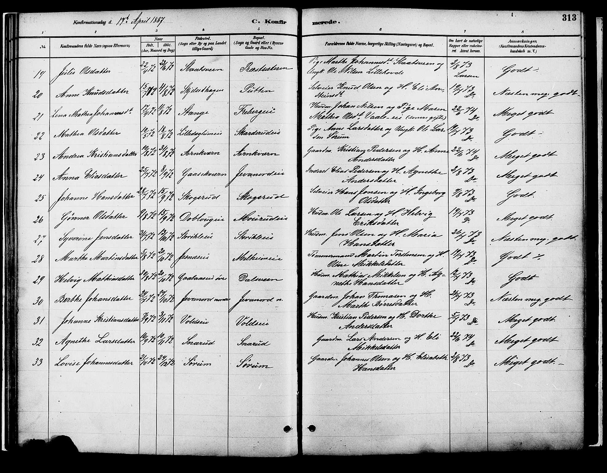 Vang prestekontor, Hedmark, SAH/PREST-008/H/Ha/Haa/L0018B: Parish register (official) no. 18B, 1880-1906, p. 313