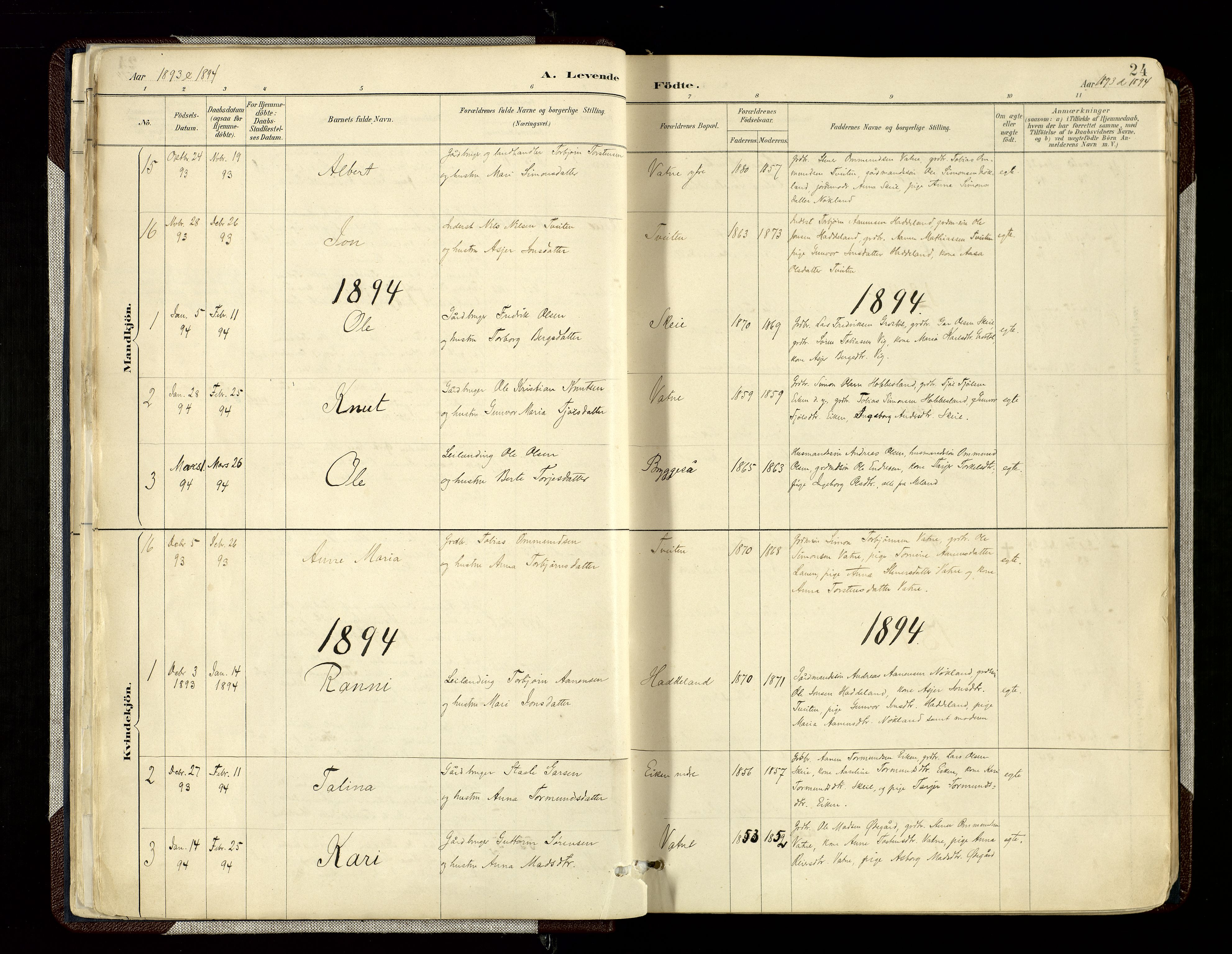 Hægebostad sokneprestkontor, SAK/1111-0024/F/Fa/Fab/L0004: Parish register (official) no. A 4, 1887-1929, p. 24
