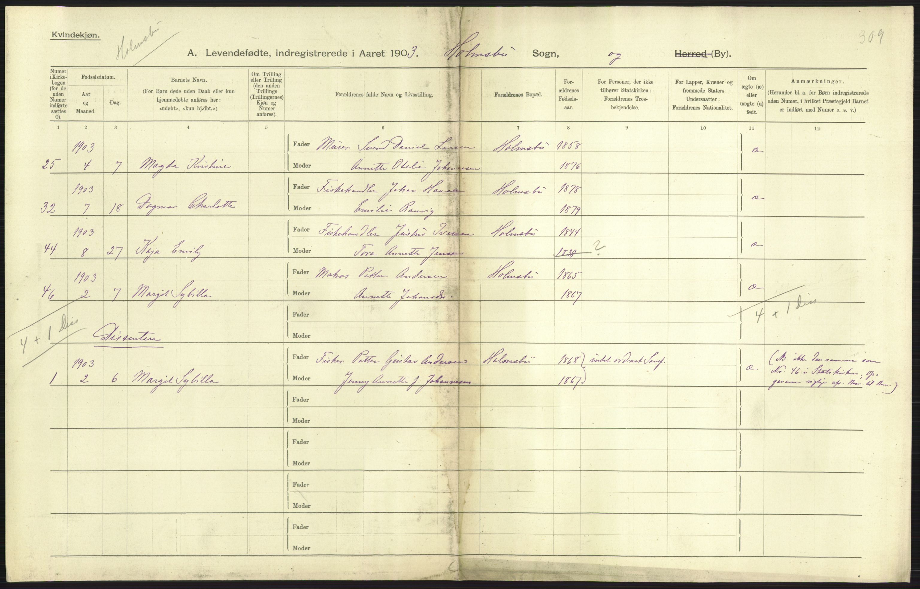 Statistisk sentralbyrå, Sosiodemografiske emner, Befolkning, AV/RA-S-2228/D/Df/Dfa/Dfaa/L0007: Buskeruds amt: Fødte, gifte, døde, 1903, p. 289