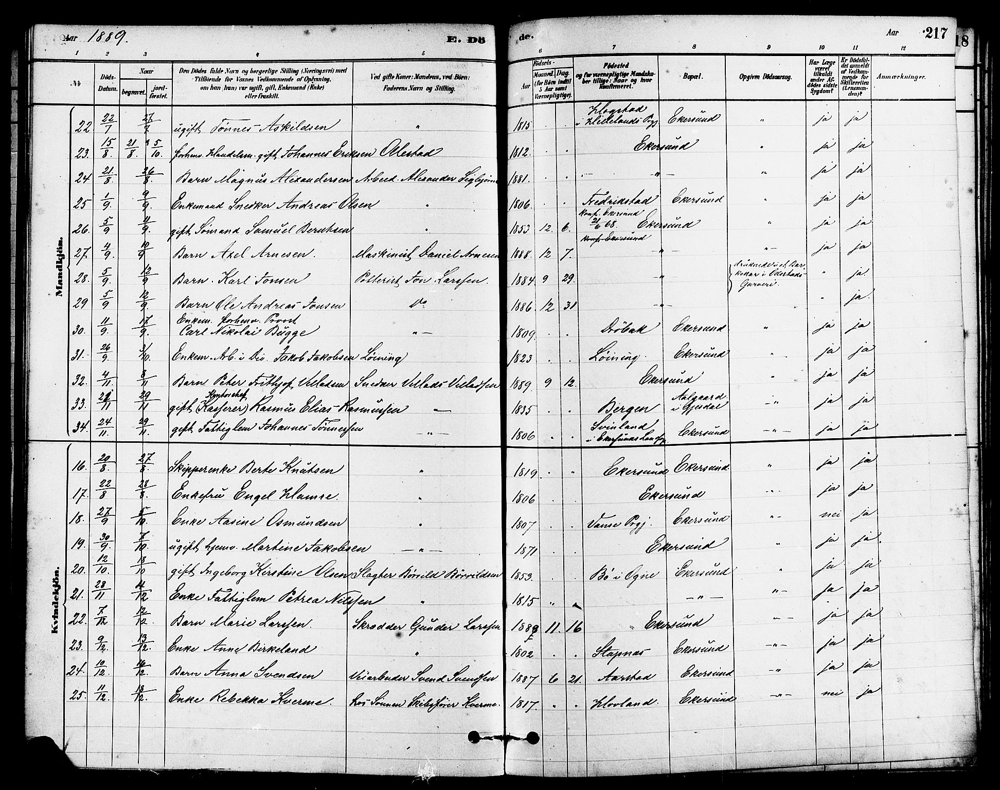 Eigersund sokneprestkontor, AV/SAST-A-101807/S08/L0015: Parish register (official) no. A 15, 1879-1892, p. 217