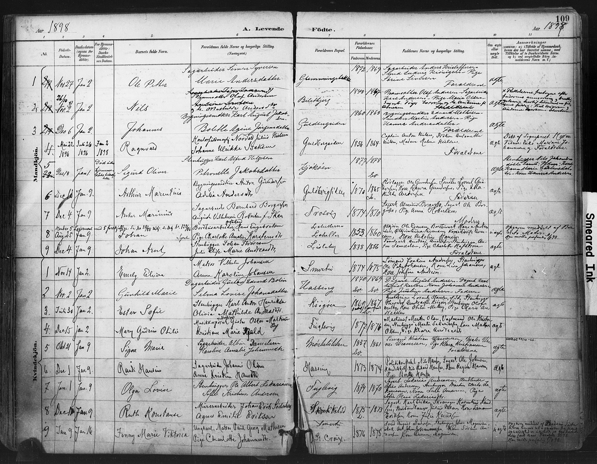 Glemmen prestekontor Kirkebøker, SAO/A-10908/F/Fa/L0013: Parish register (official) no. 13, 1892-1907, p. 109