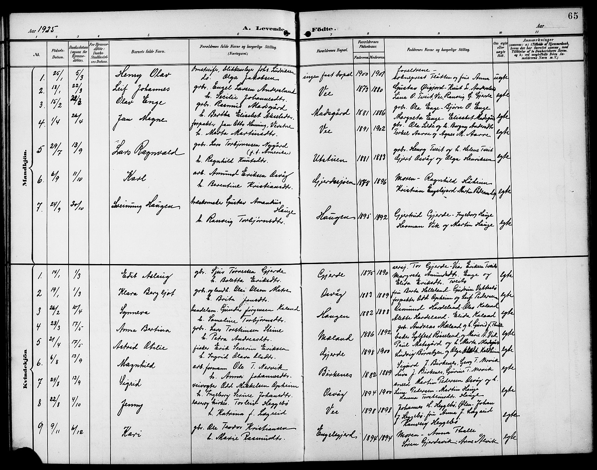 Etne sokneprestembete, AV/SAB-A-75001/H/Hab: Parish register (copy) no. B 5, 1898-1926, p. 65