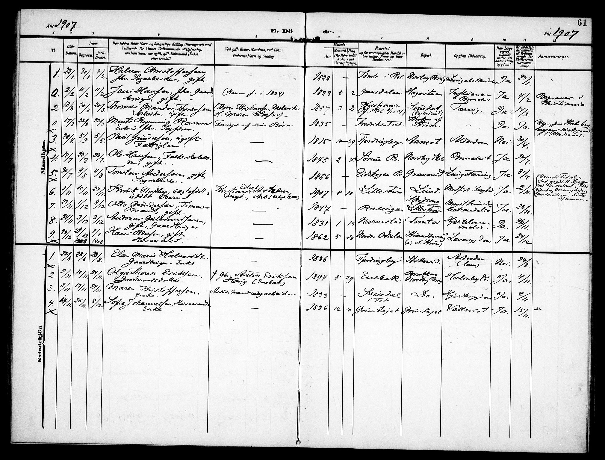 Fet prestekontor Kirkebøker, AV/SAO-A-10370a/F/Fb/L0003: Parish register (official) no. II 3, 1905-1914, p. 61