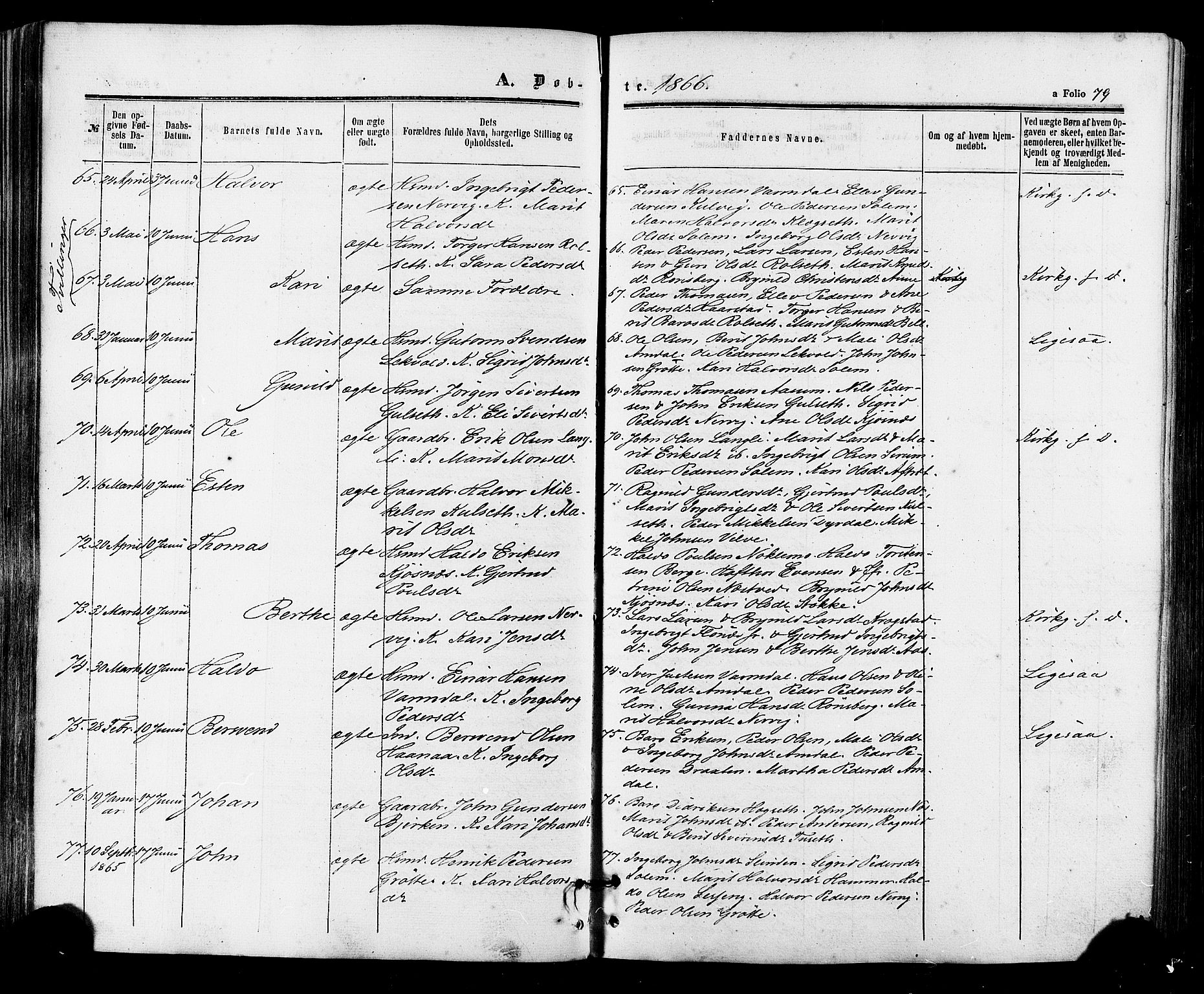 Ministerialprotokoller, klokkerbøker og fødselsregistre - Sør-Trøndelag, AV/SAT-A-1456/695/L1147: Parish register (official) no. 695A07, 1860-1877, p. 79