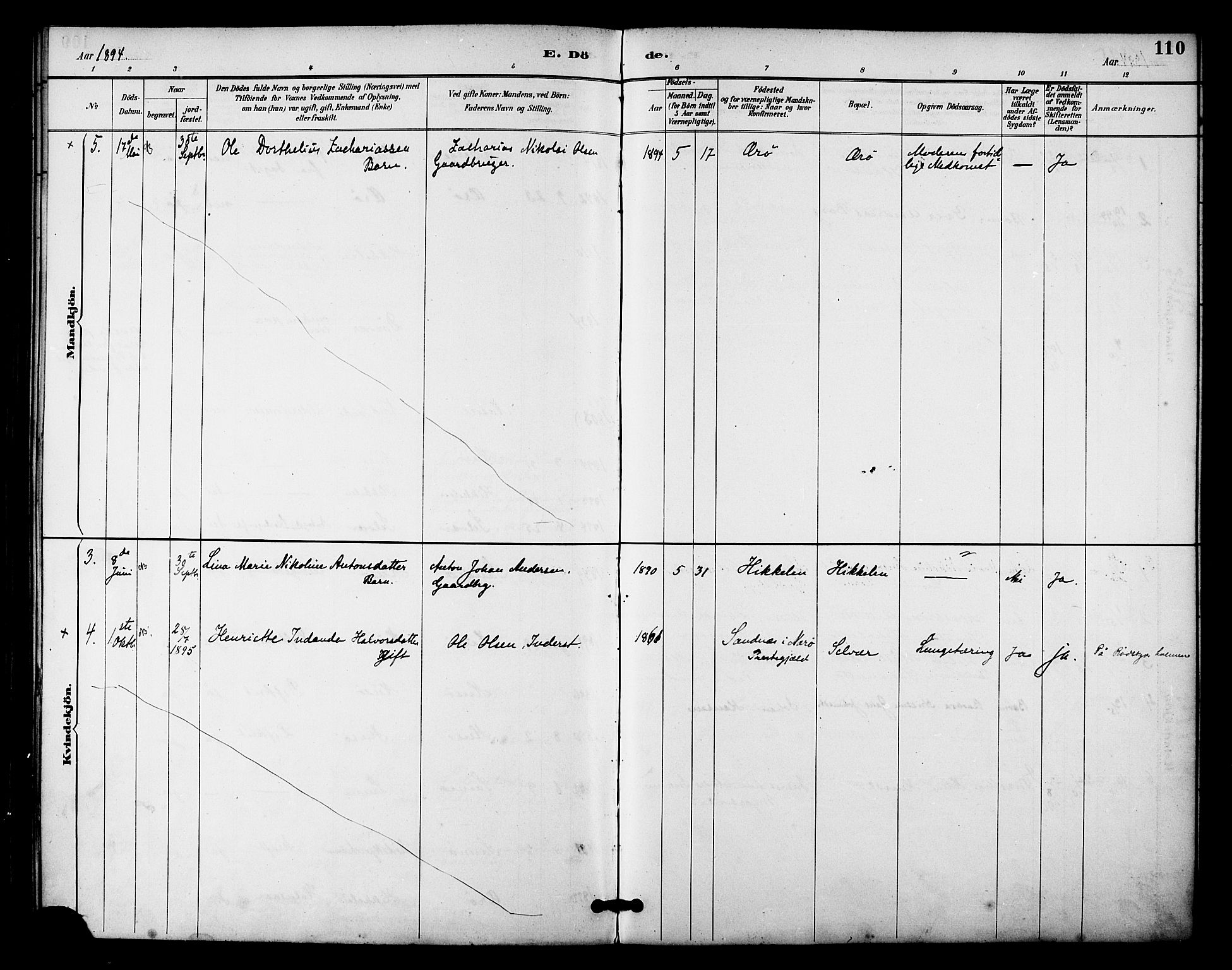 Ministerialprotokoller, klokkerbøker og fødselsregistre - Nordland, SAT/A-1459/840/L0580: Parish register (official) no. 840A02, 1887-1909, p. 110